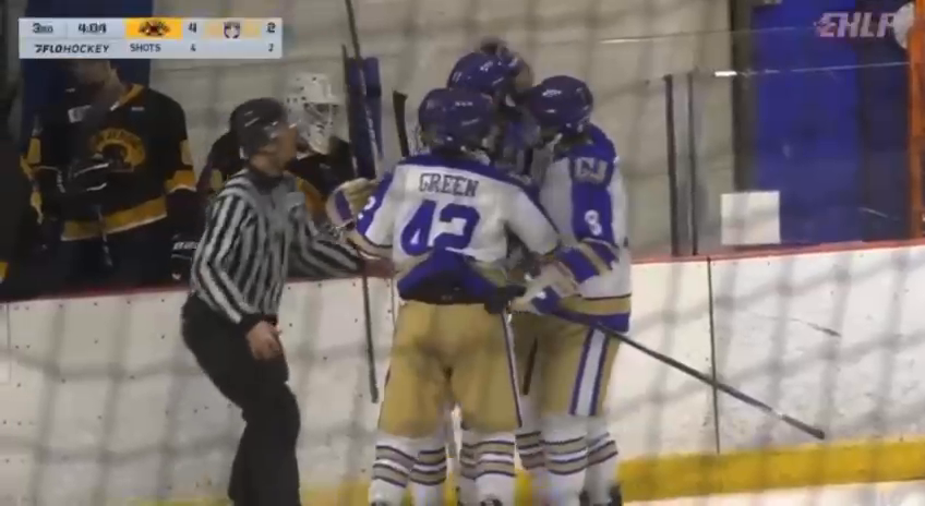 Tomass Vekselis: Highlight Reel of Goals with New Jersey 87's