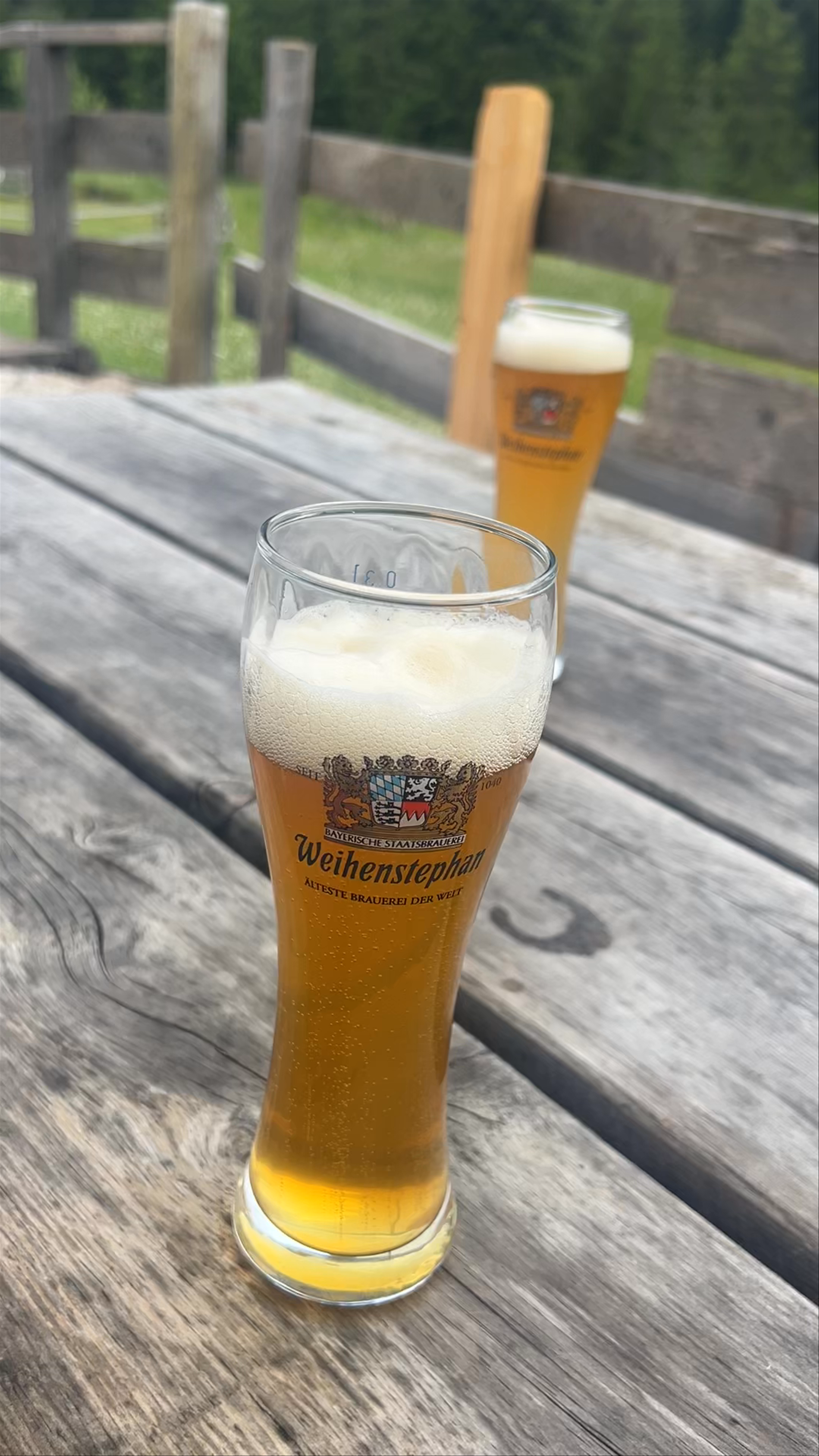 Zanser Schwaige