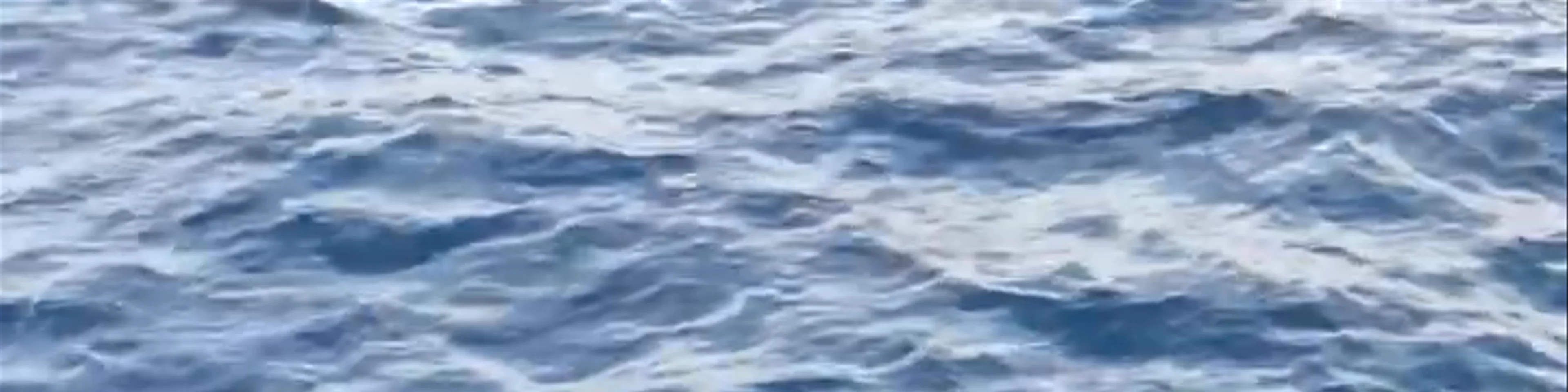 Sail Lanka Charter - Mirissa