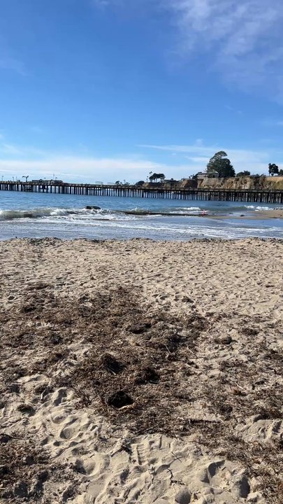 Capitola State Beach - Beaches Near Me - Capitola, California