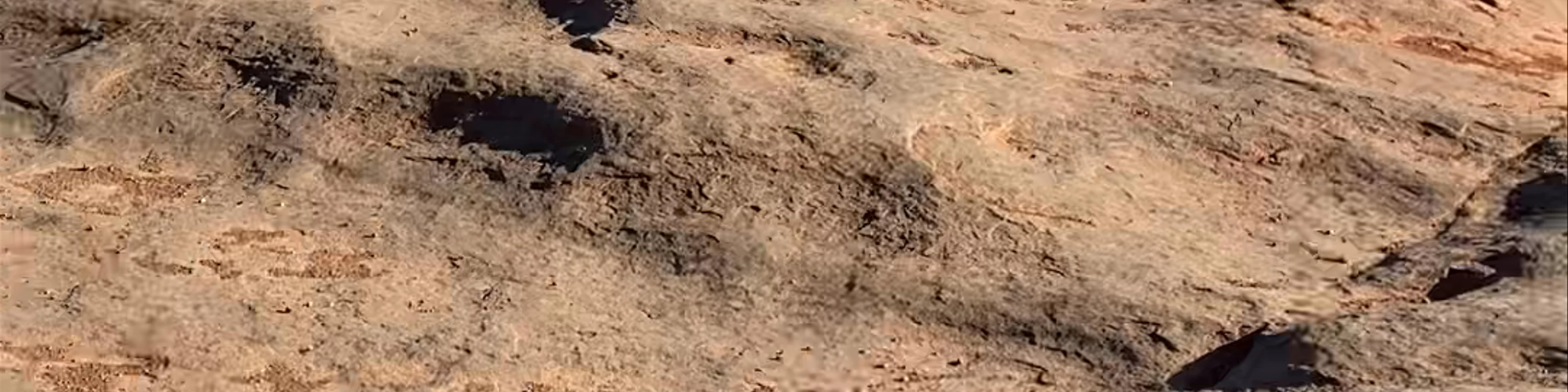 Sedona Pink Jeep Tour