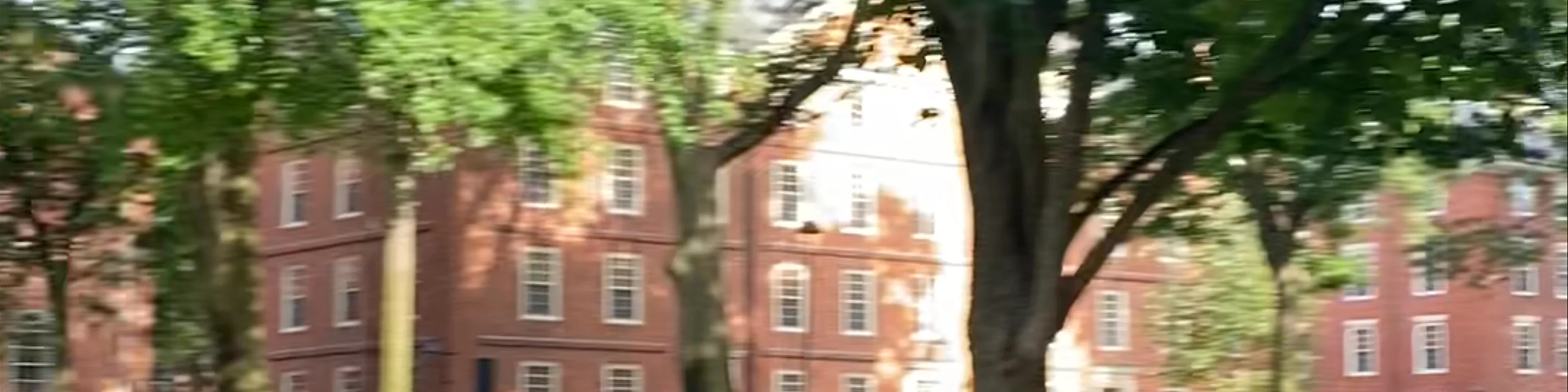 Universidad de Harvard