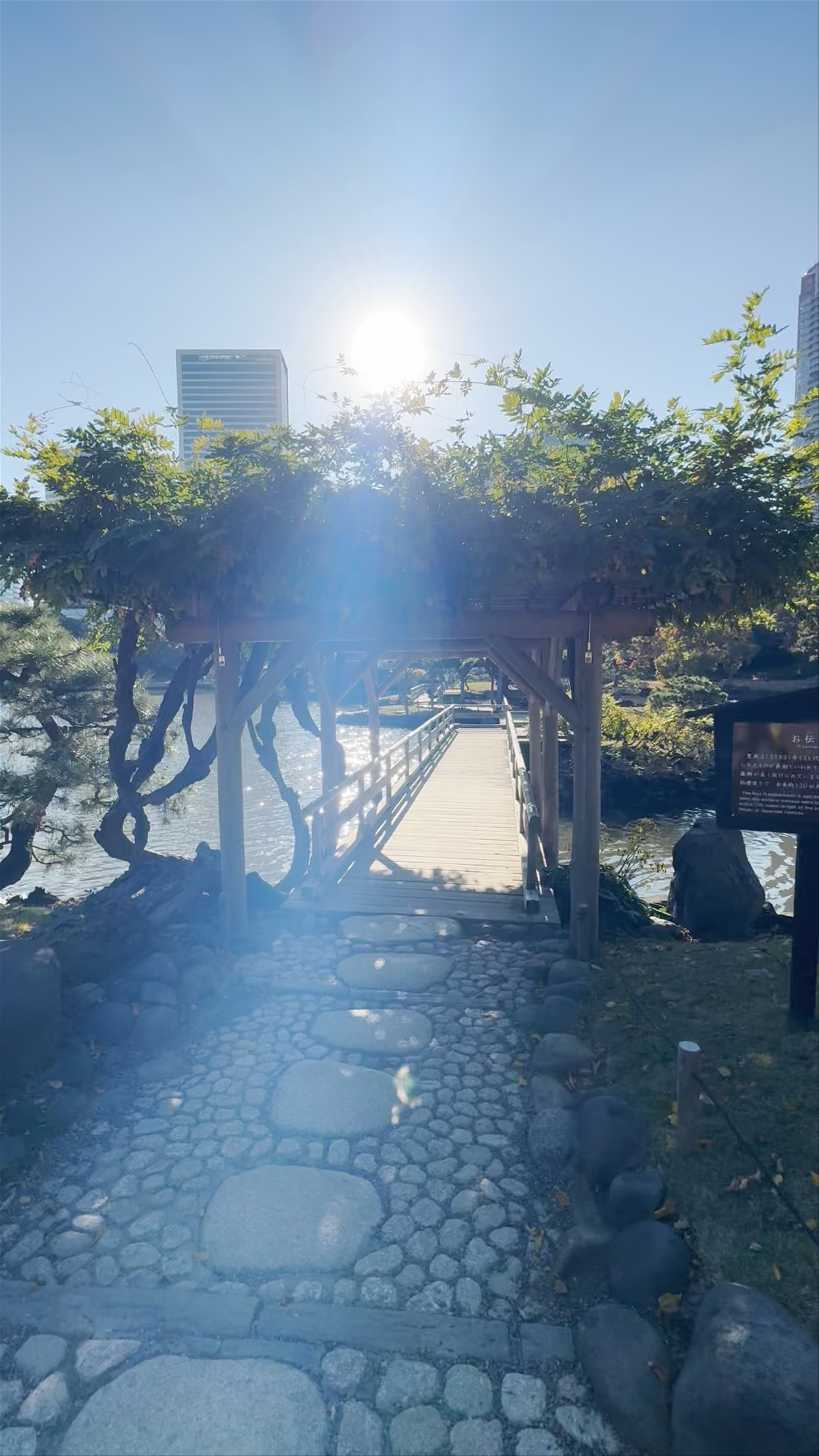 Hamarikyu Gardens: Urban Serenity Amid Tokyo Skyscrapers
