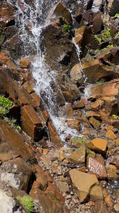 Galena Falls Trail - The Galena Falls - Hiking Near Me - Reno, Nevada