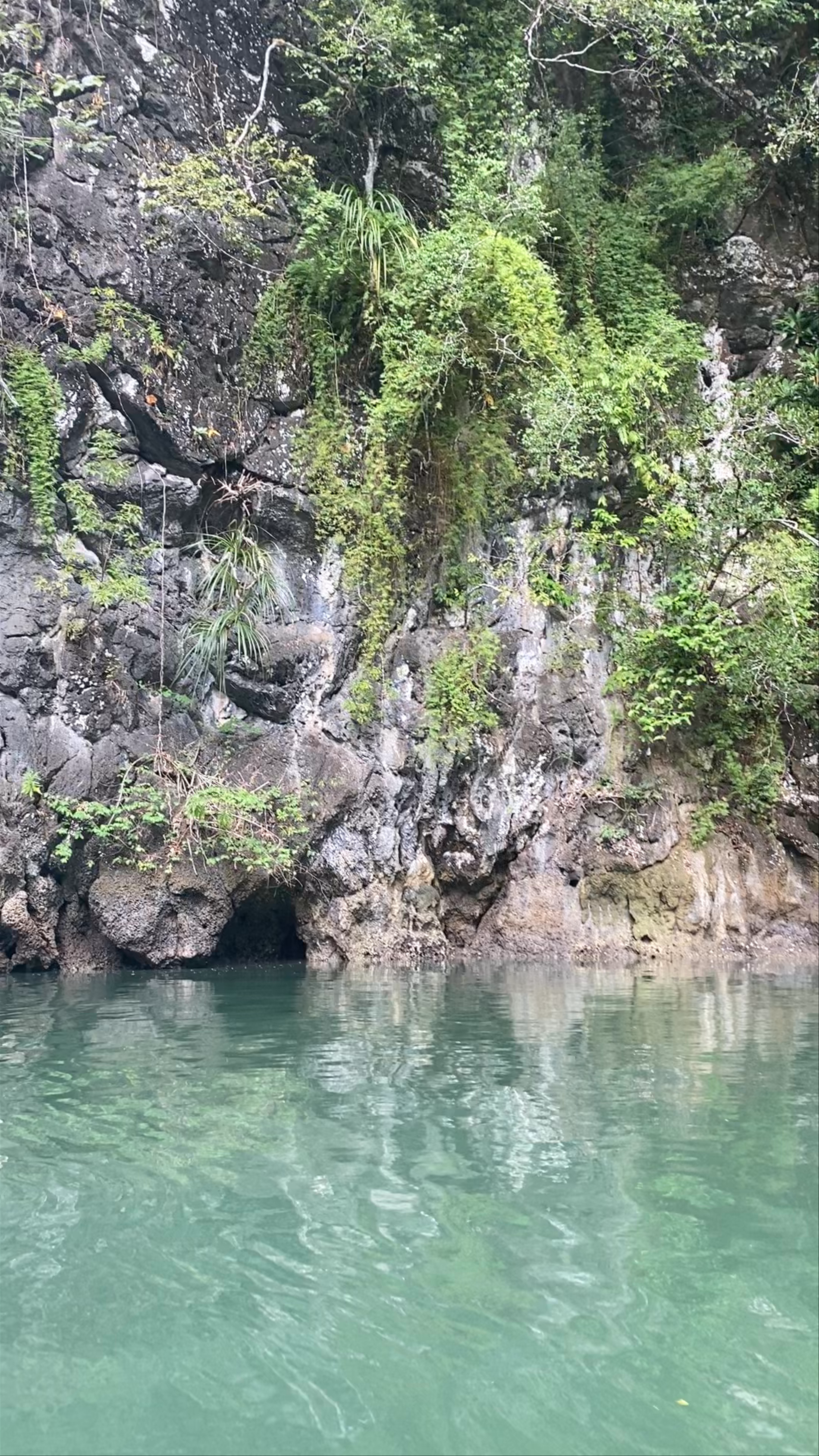 Ao Thalane Kayak Adventure in Krabi, Thailand