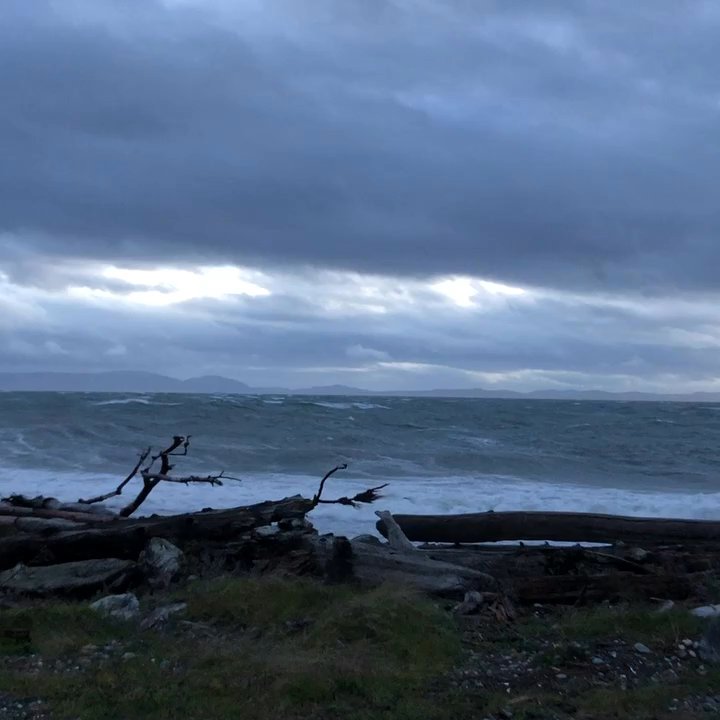 Lighthouse Marine Park - Campgrounds Near Me - Point Roberts, Washington