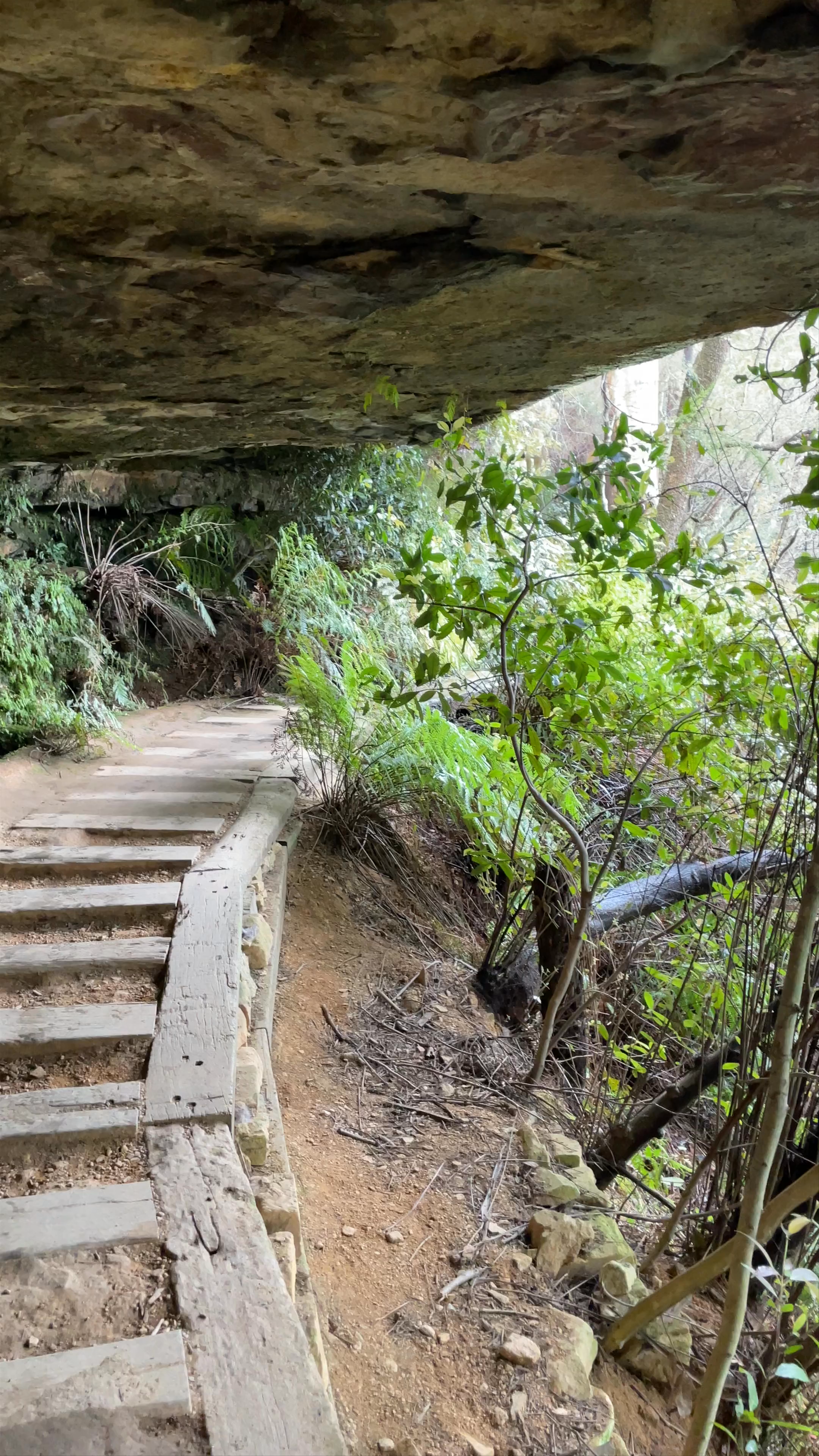 Weeping Rock Circuit Hike at Wentworth Falls, New South Wales, Australia