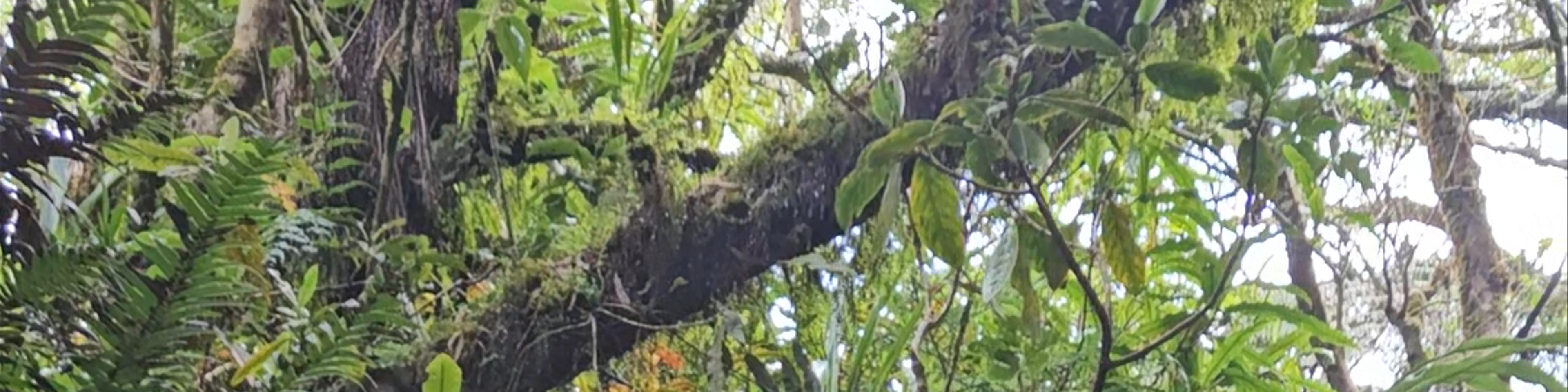 Réunion