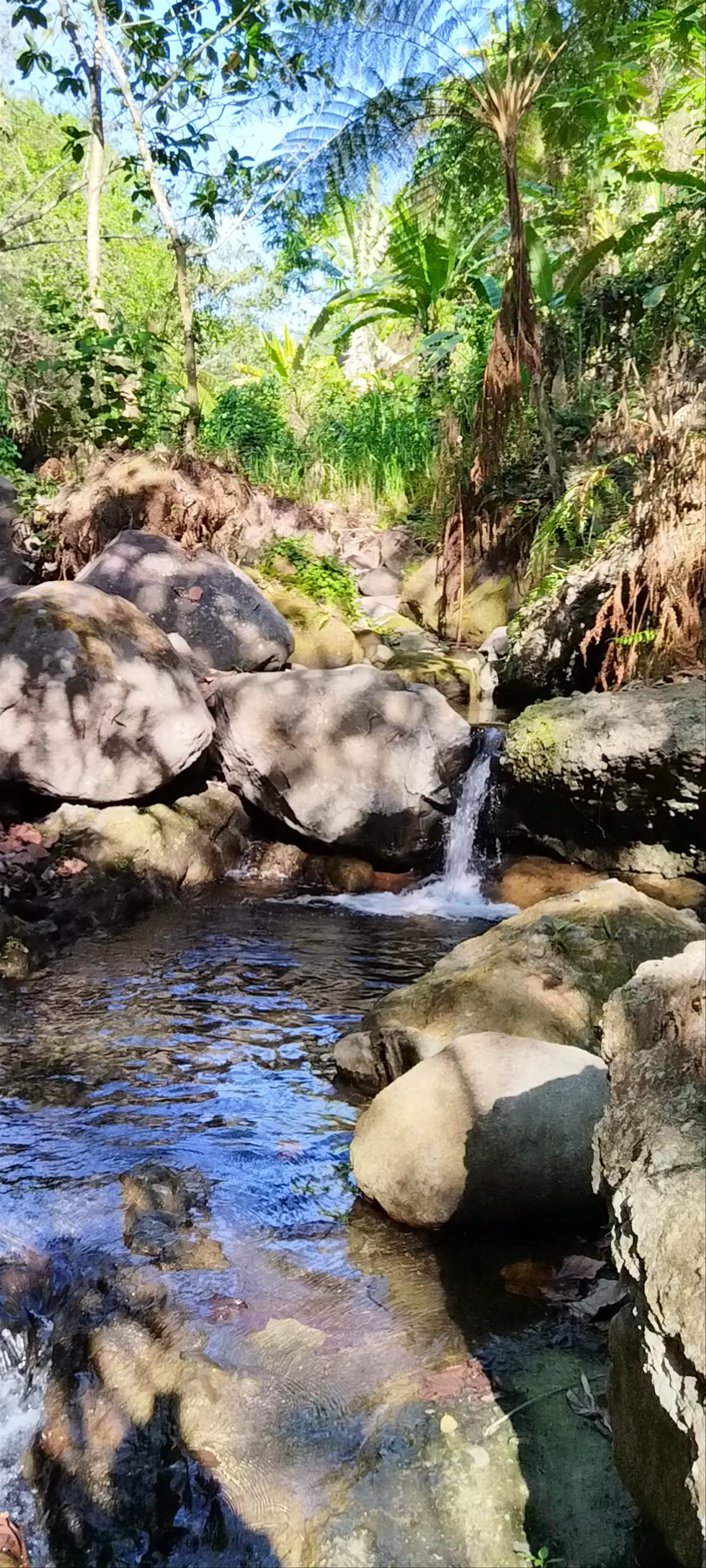Puning Hot Spring and Restaurant