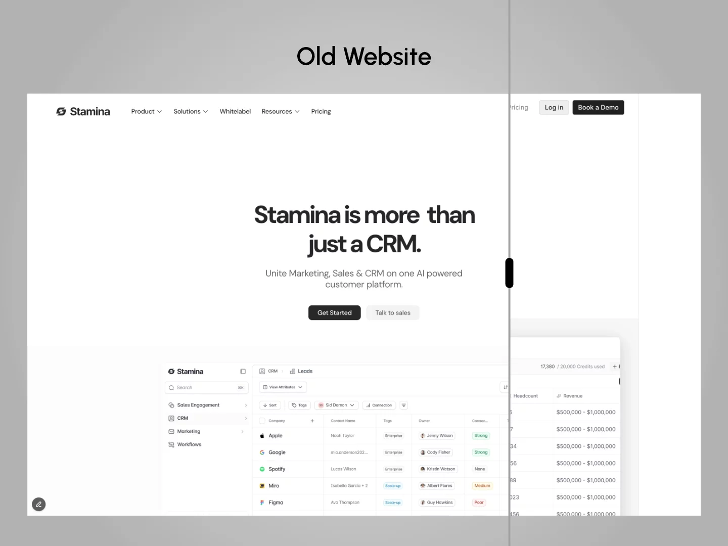 Stamina LLC
