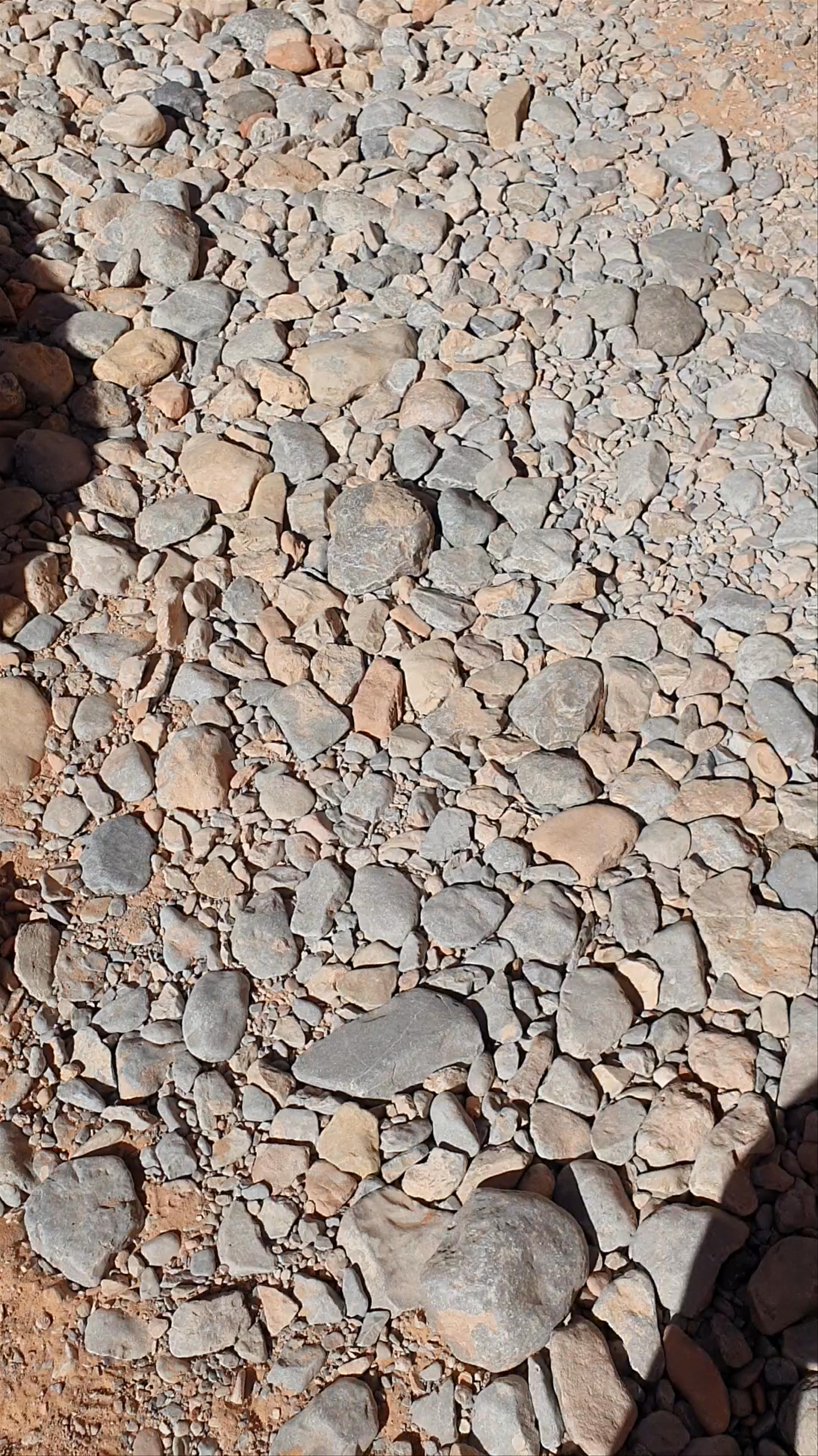 The White Domes Trail