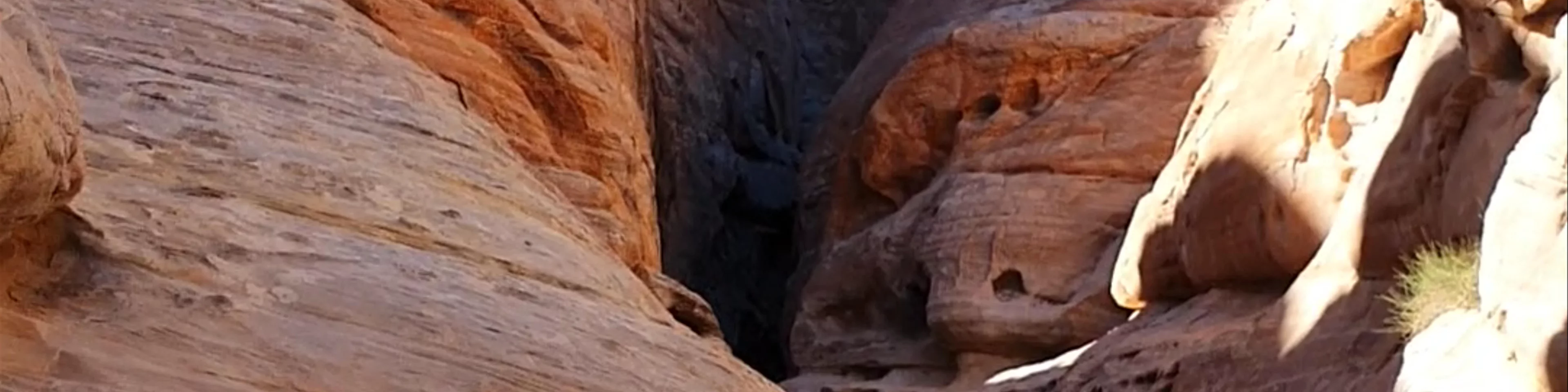 The White Domes Trail