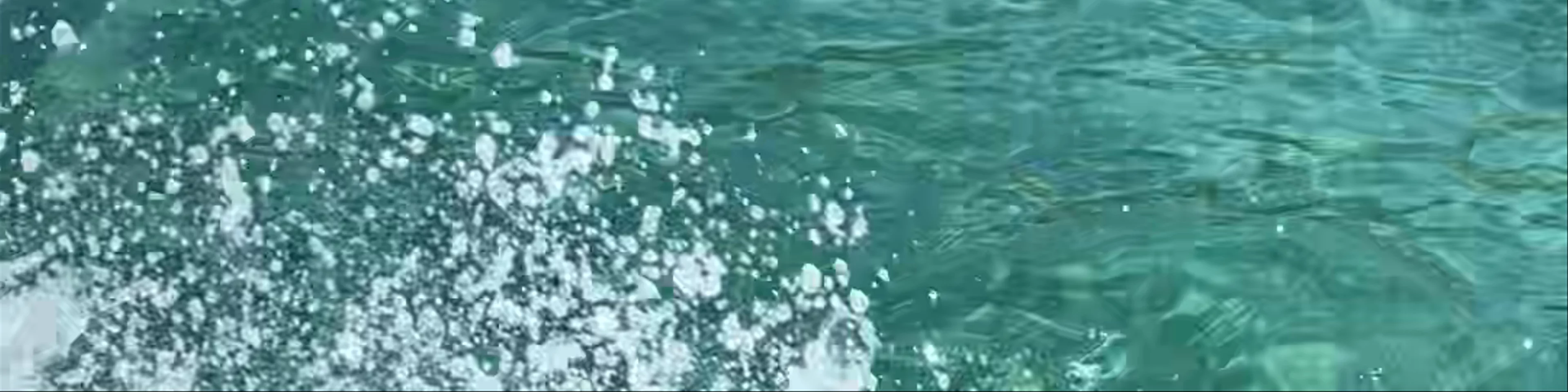 Coiba Island