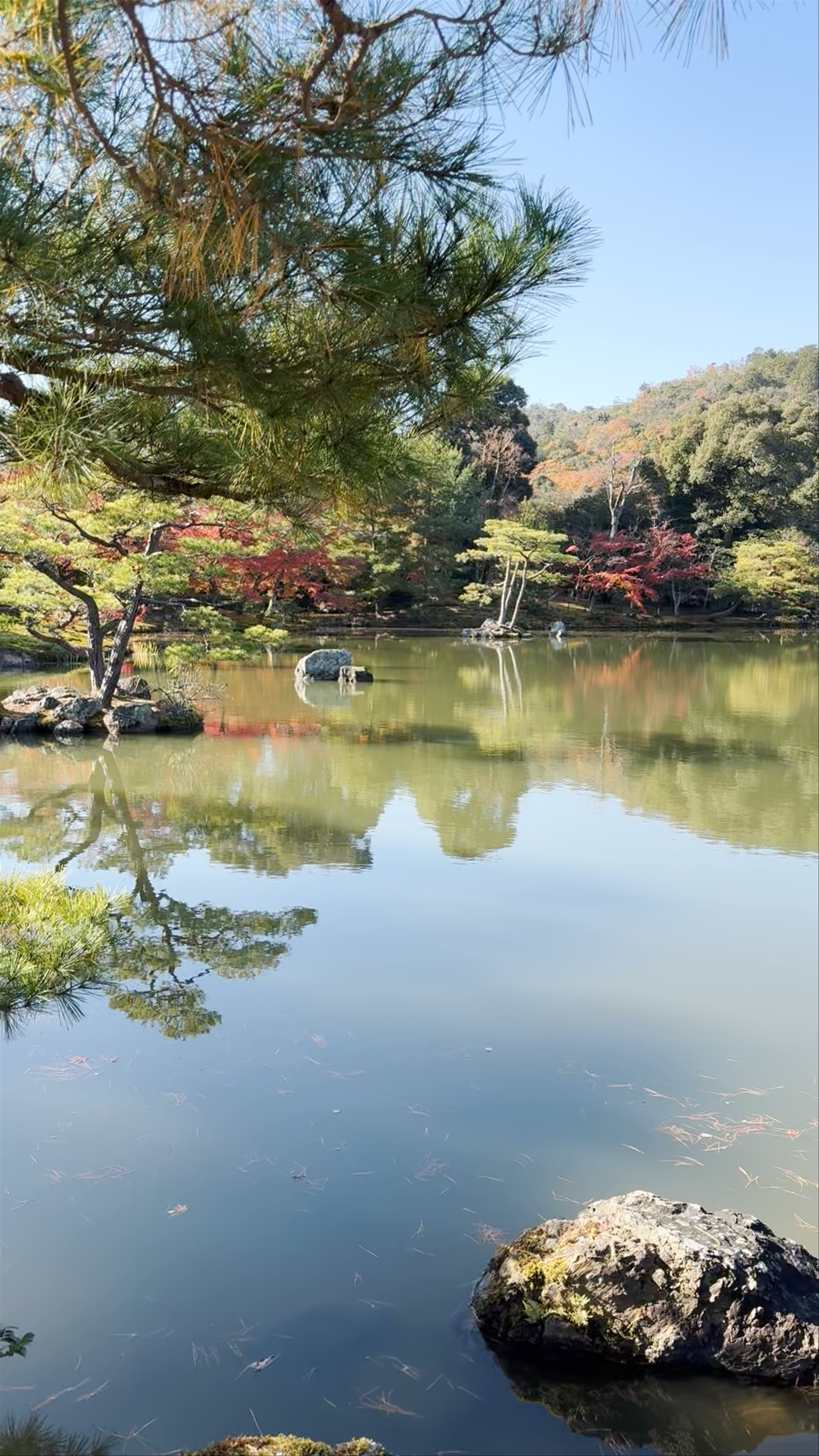 Kinkaku-ji Golden Pavilion: Tranquil Reflections in Kyoto