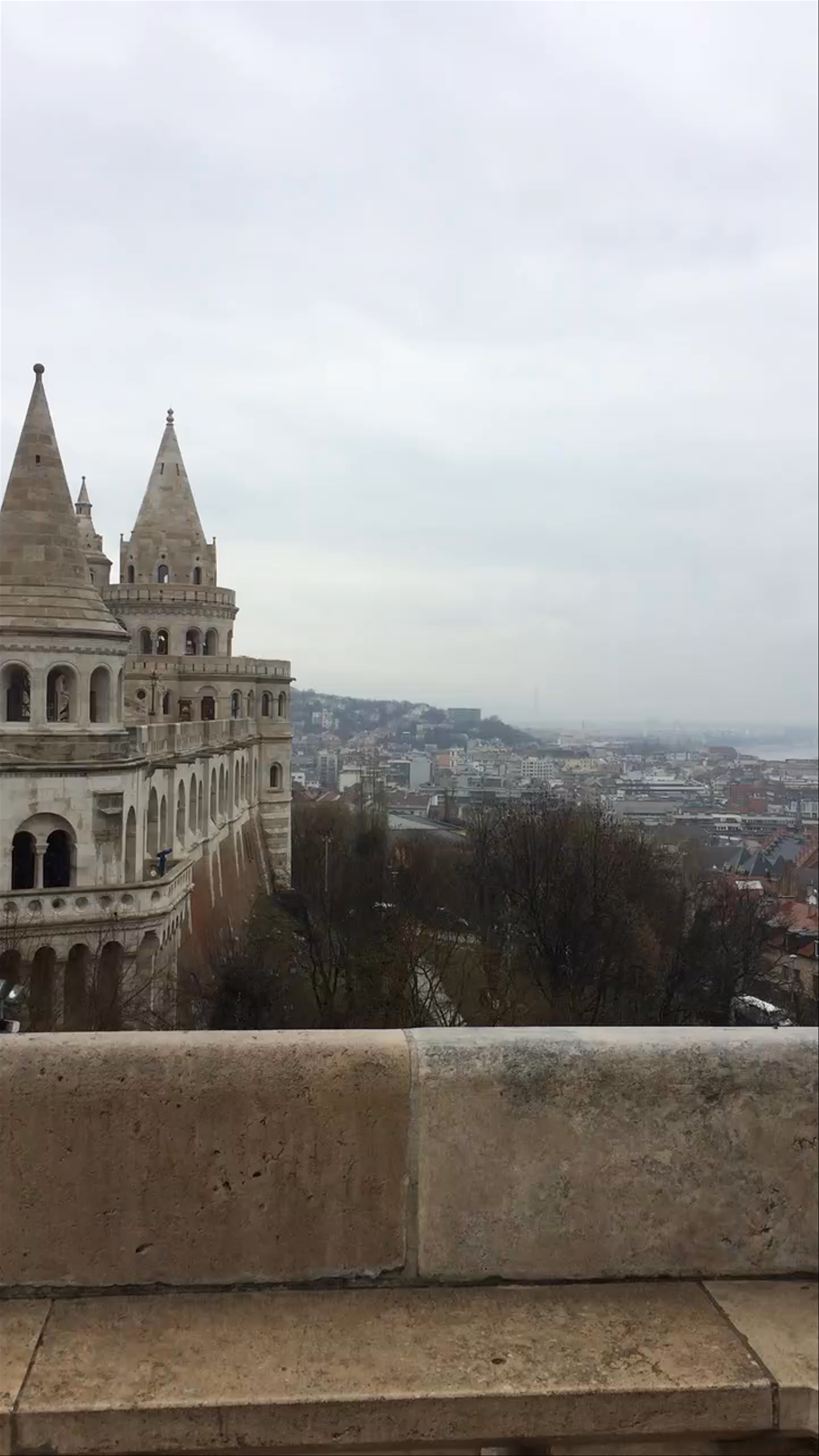 Buda Castle
