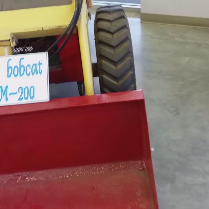 Bobcat Central - Roxie found a aggressive bear - Machine & Tool Rental Near Me - Stockton, California