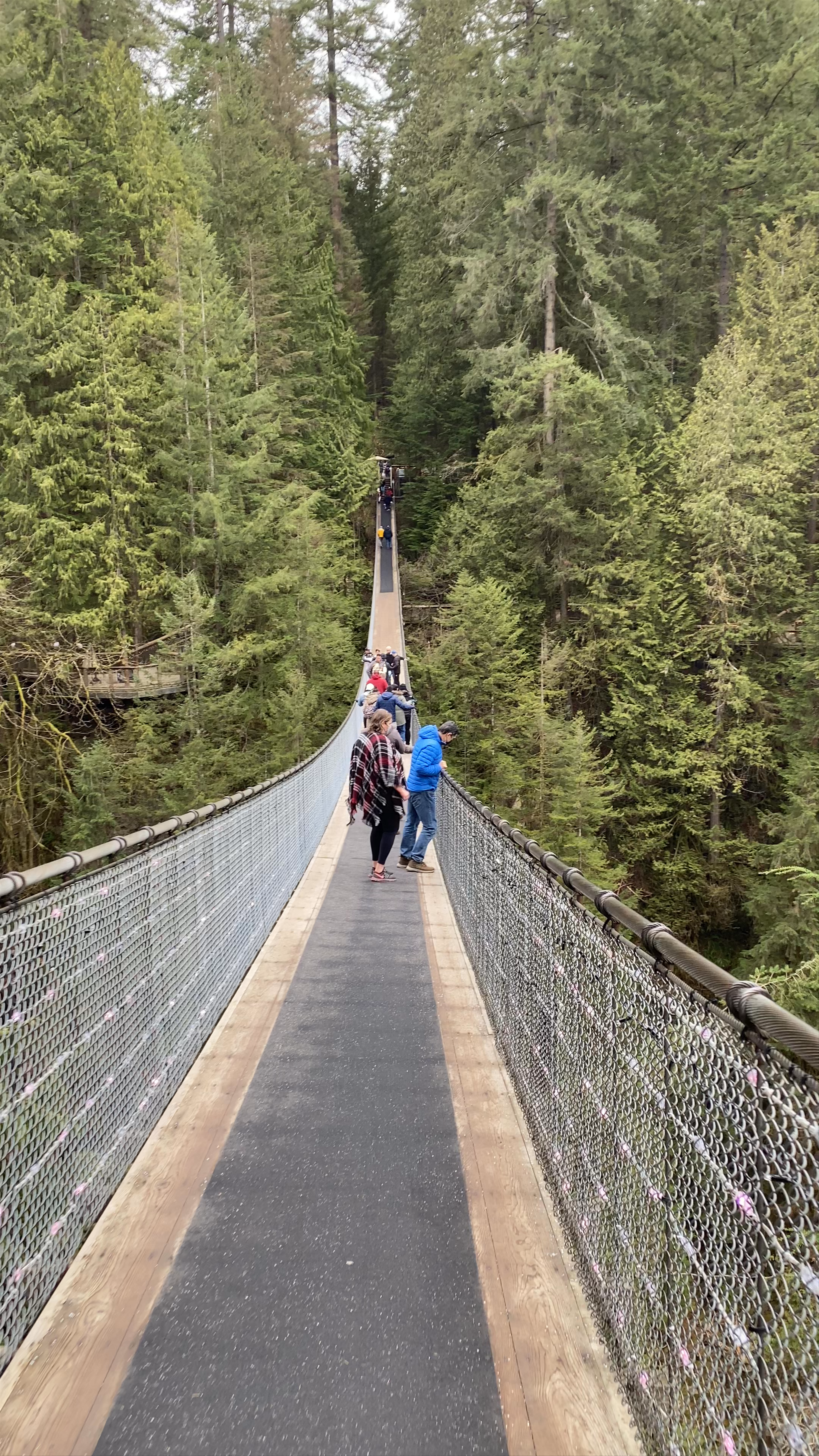 Capilano Suspension Bridge Park