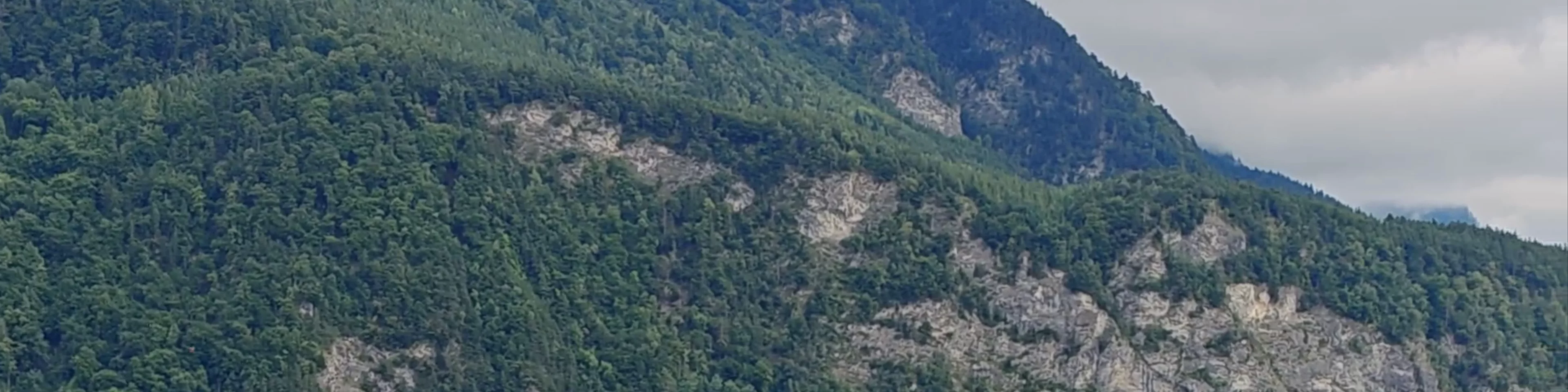 Burg Gutenberg