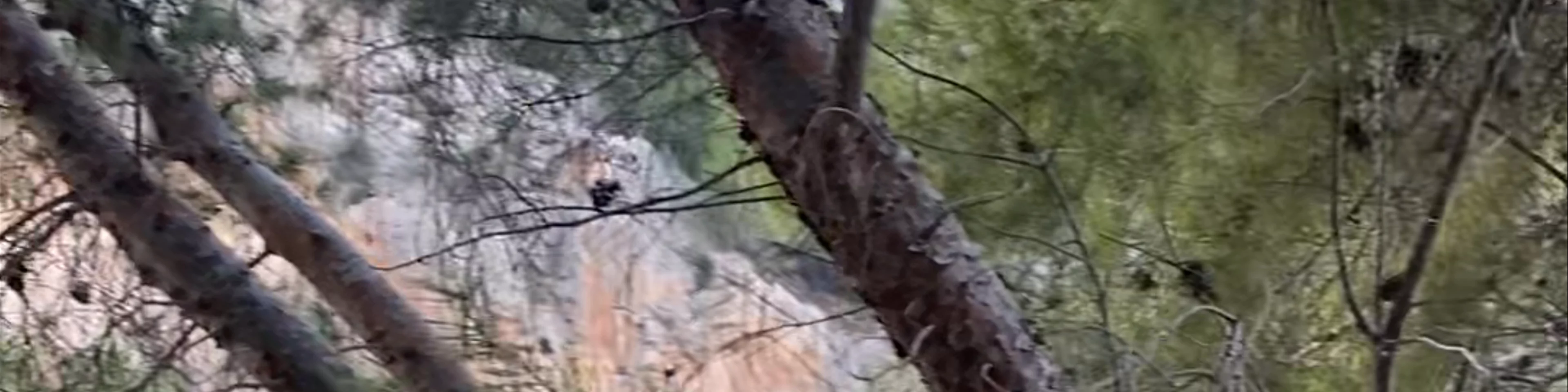 torrent de Pareis