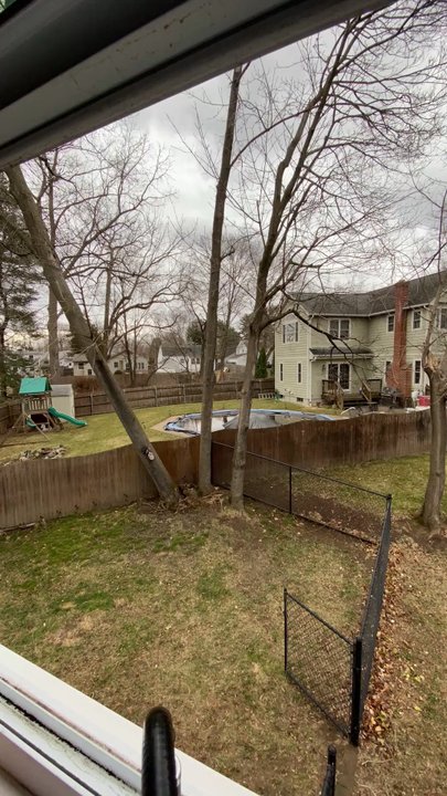Green View Tree Service - Removing the top of fallen tree - Tree Services Near Me - Cranston, Rhode Island