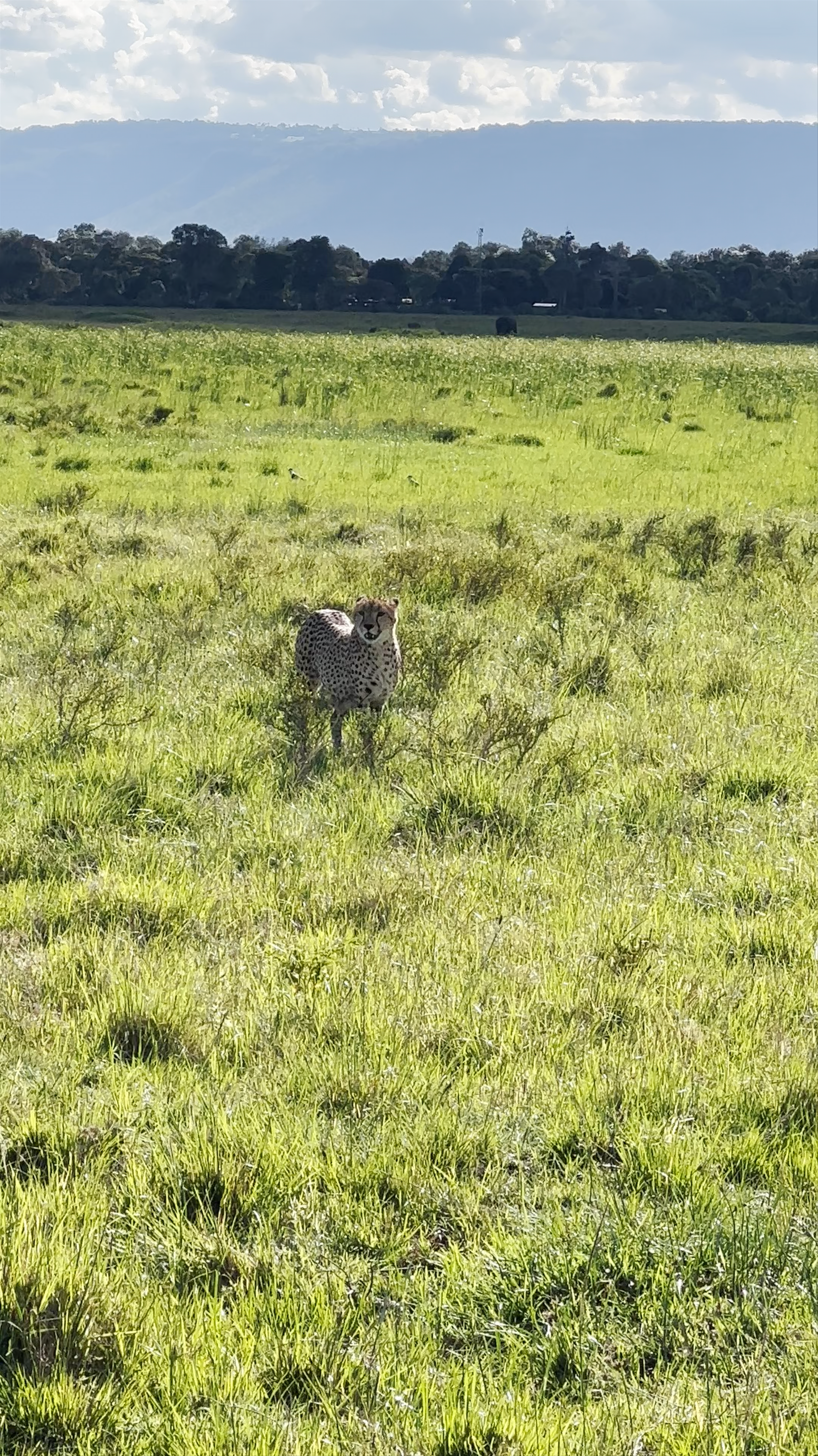 Maasai Mara National Park