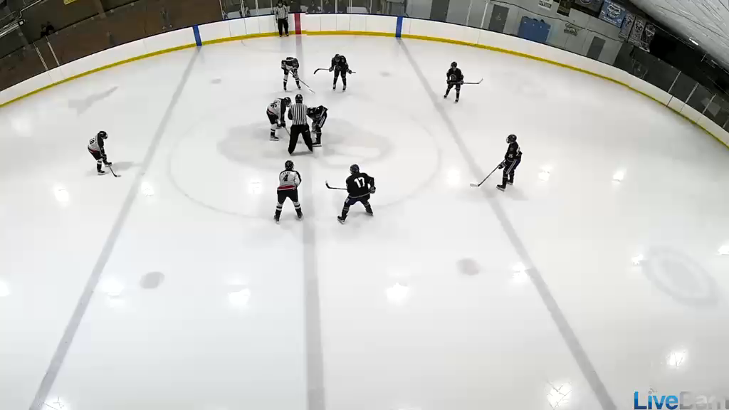 Patrik Jungwirt: Dominating Highlights from Atlantic Coast Academy 18U AAA