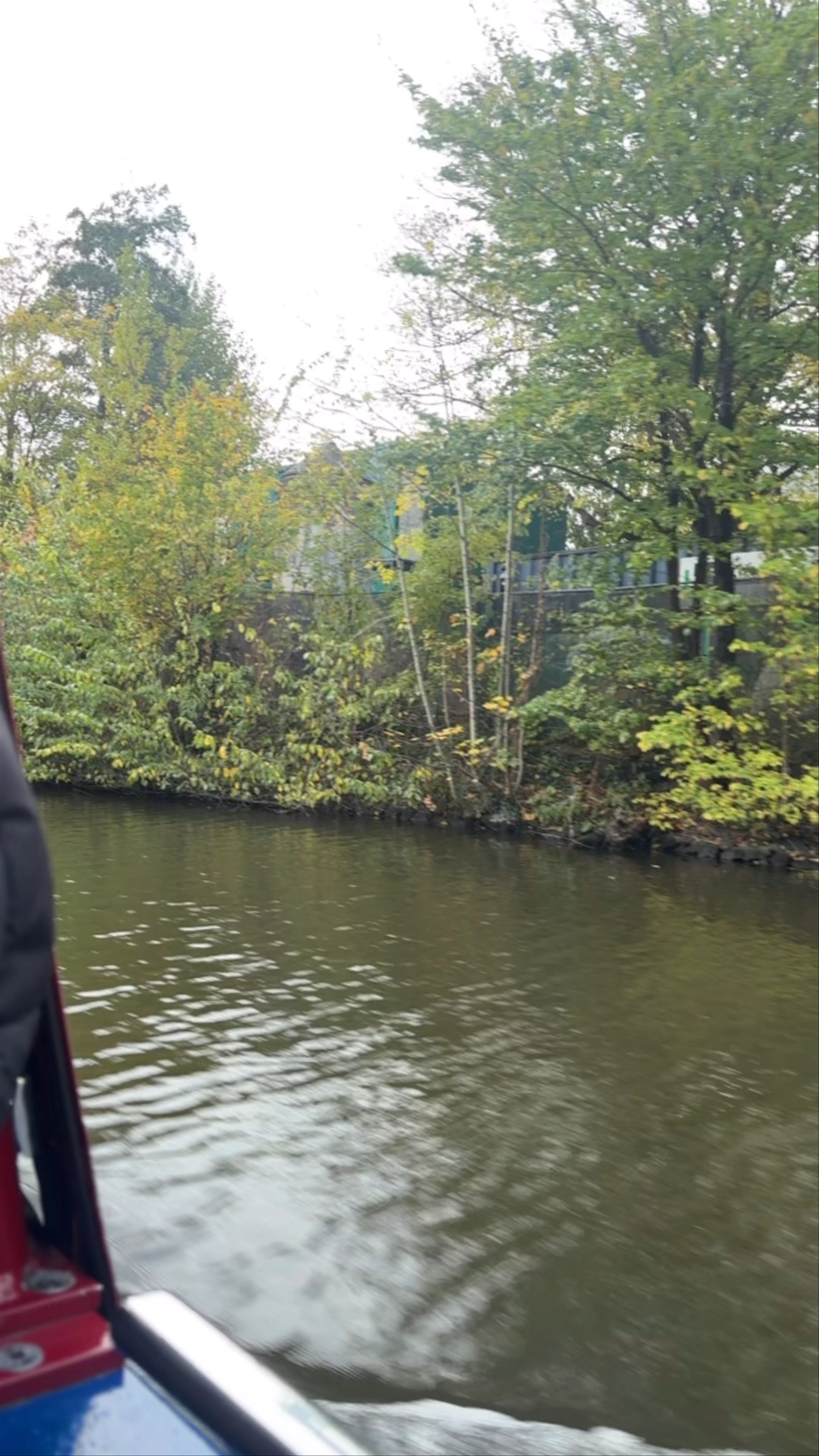Canals of Amsterdam