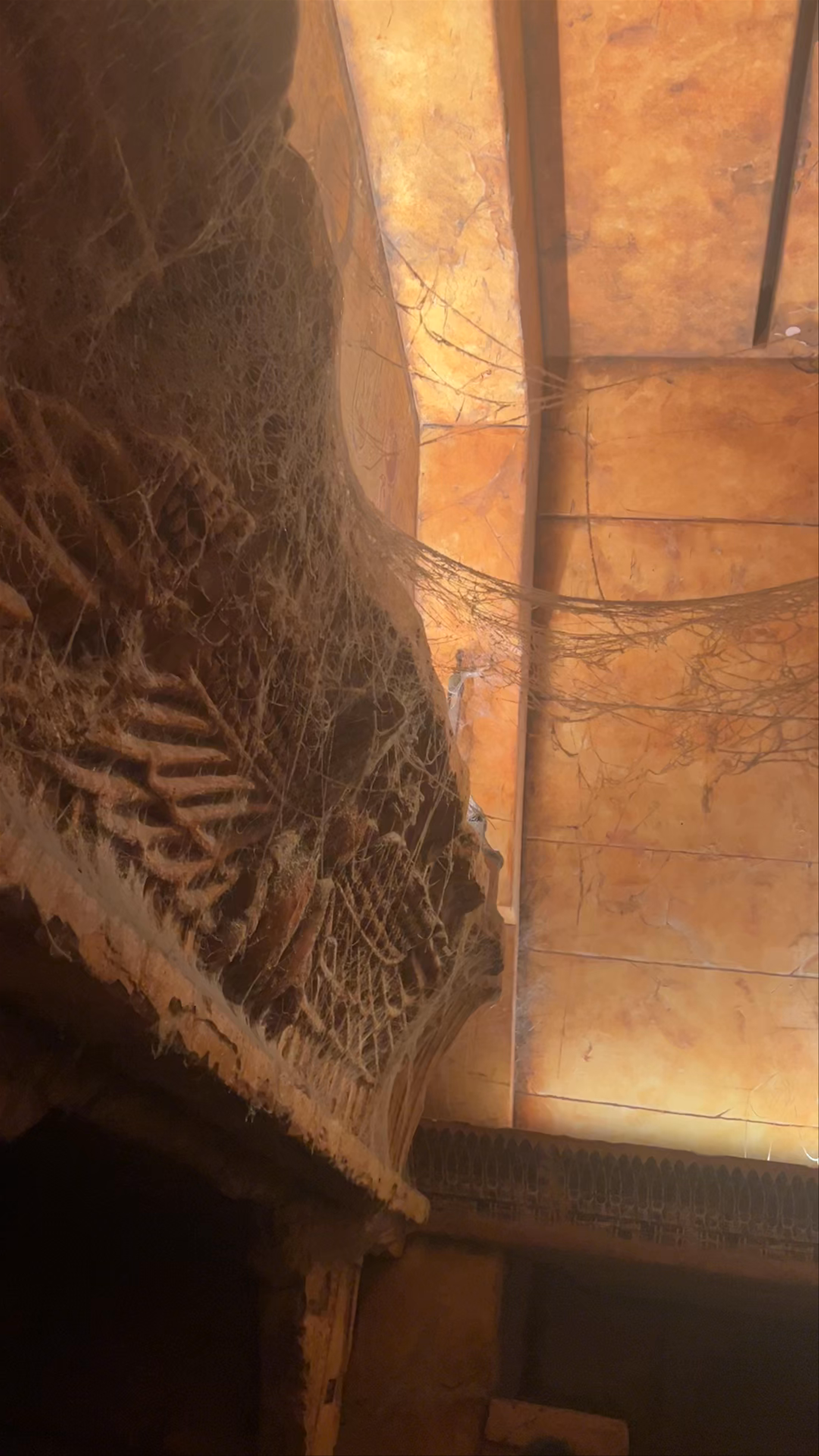 Revenge of the Mummy - The Ride