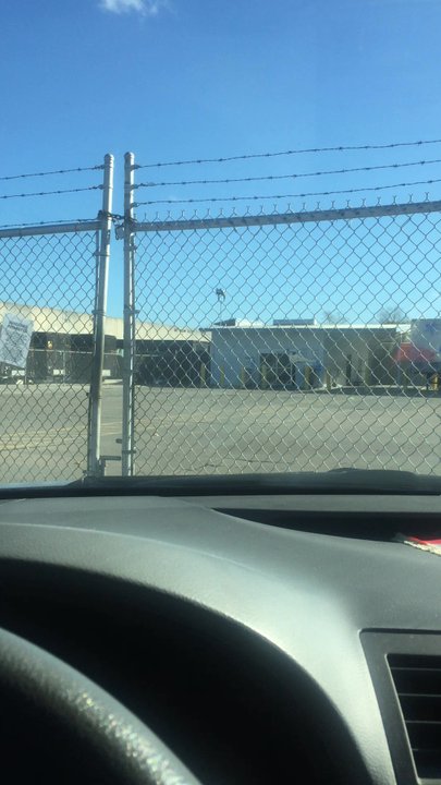 The UPS Store - 10:00am - Shipping Centers Near Me - Houston, Texas