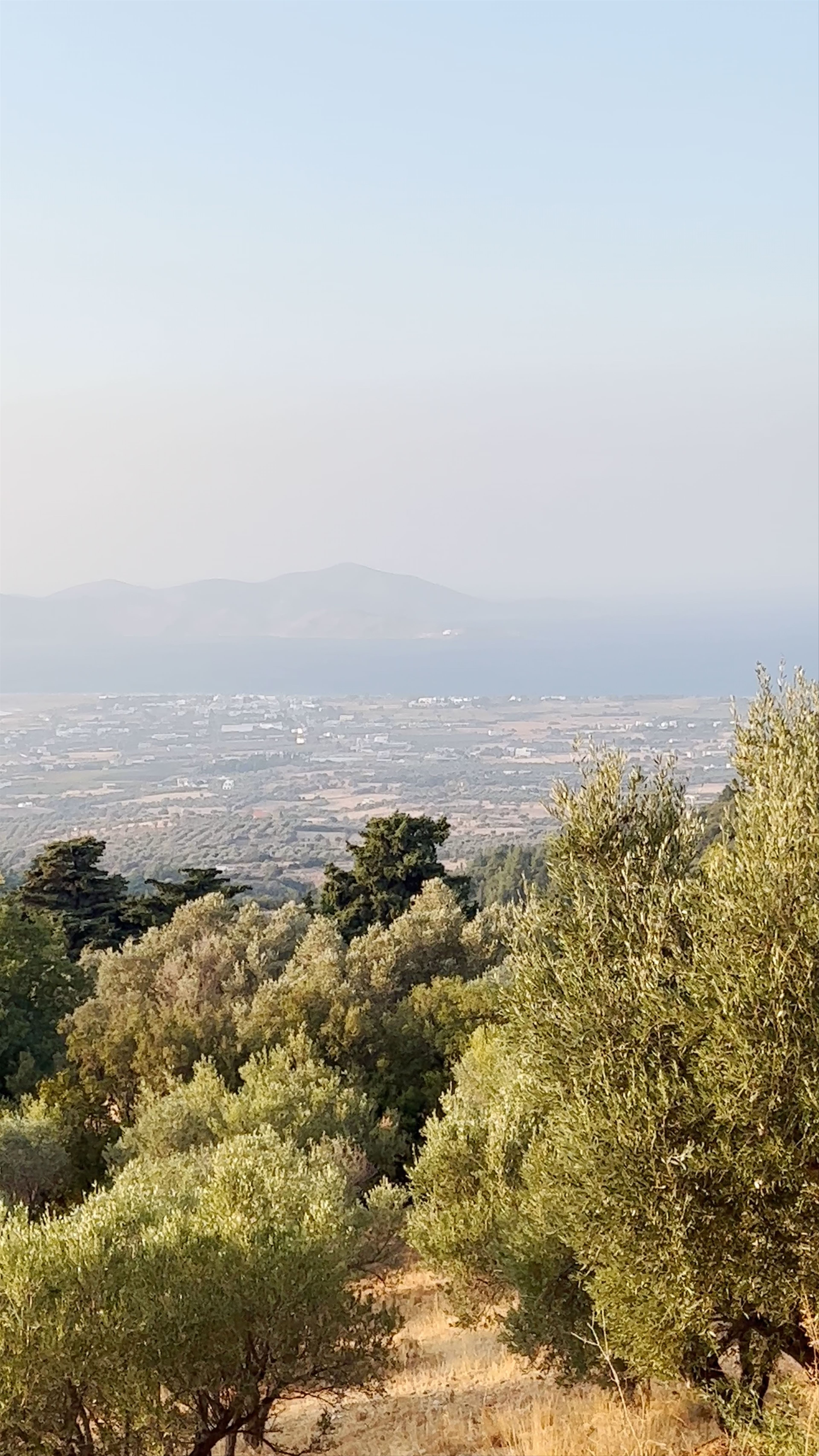 Zia Sunset View