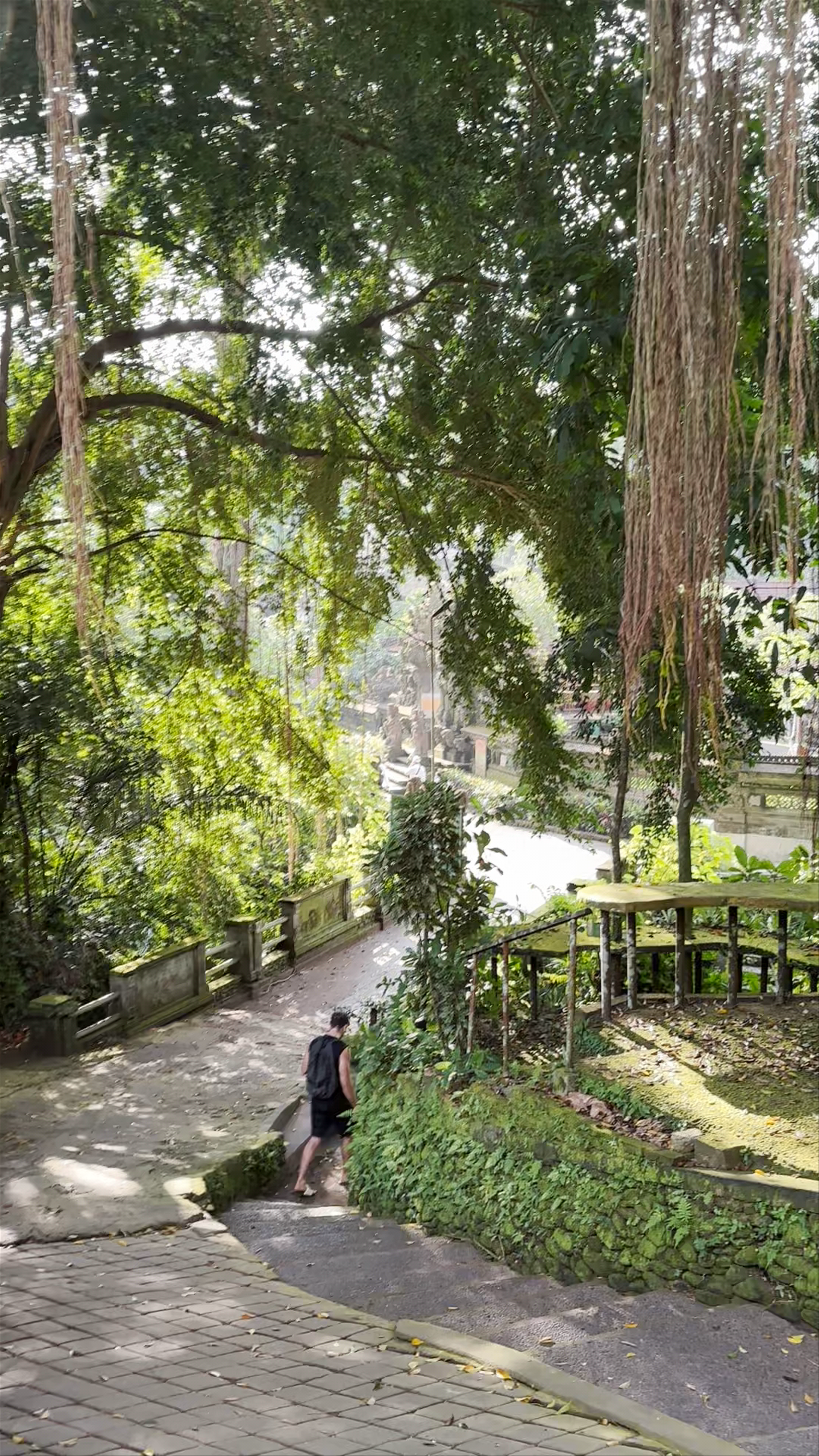 Campuhan Ridge Walk