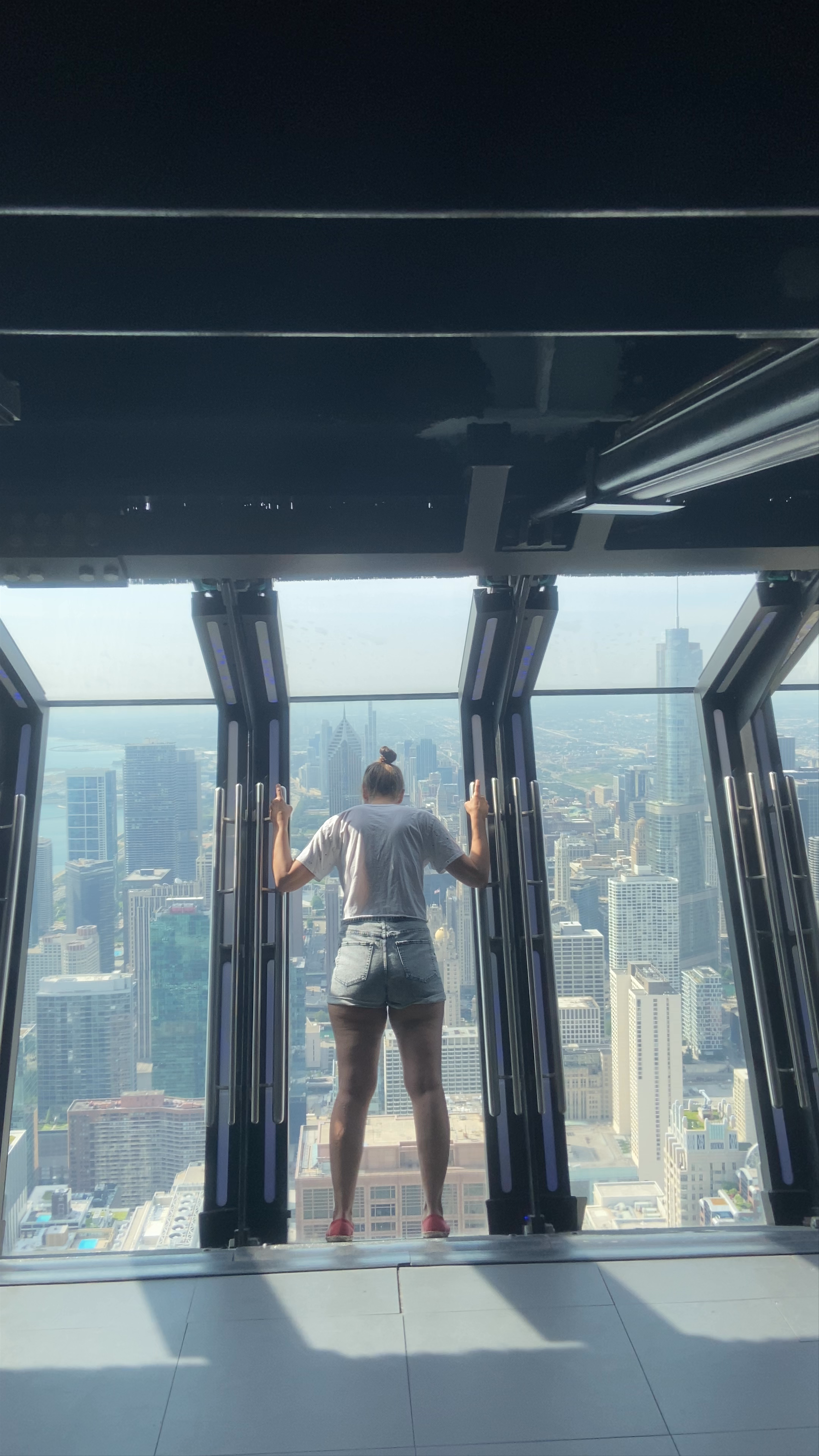Breathtaking Chicago Skyline Views from 875 N Michigan Ave
