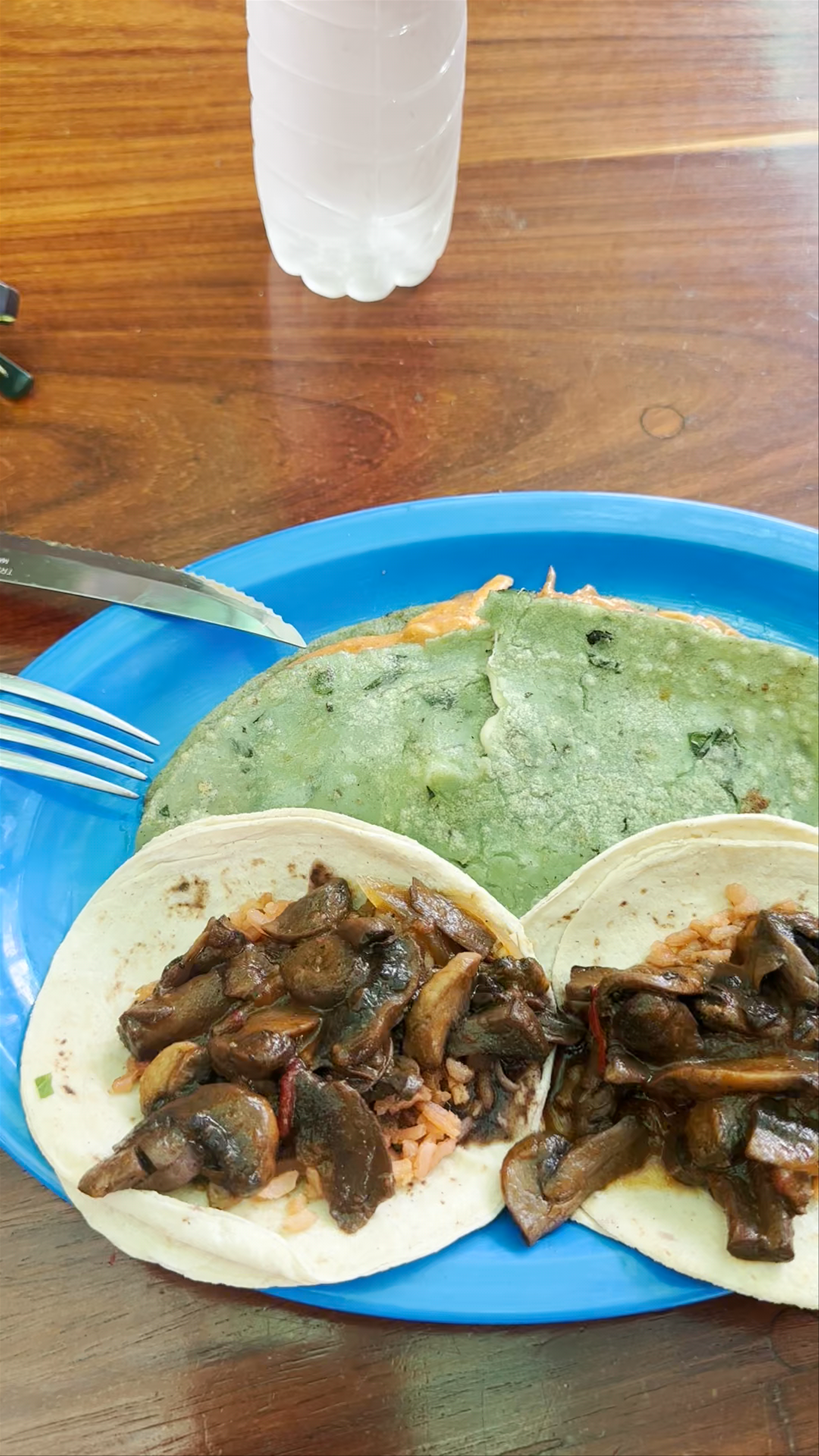 Mr. Taco