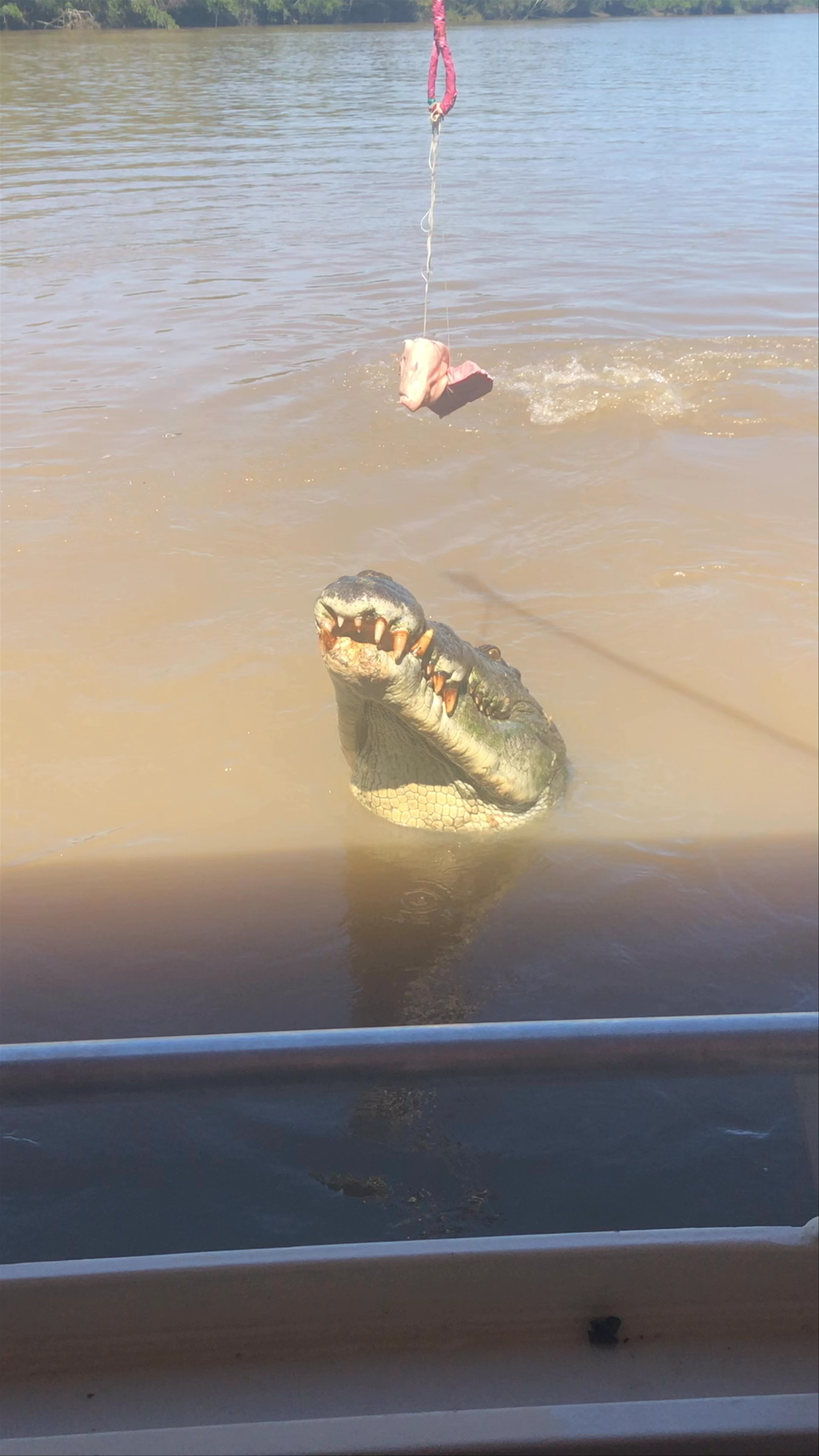 Mary River, Point Stuart NT, Australia