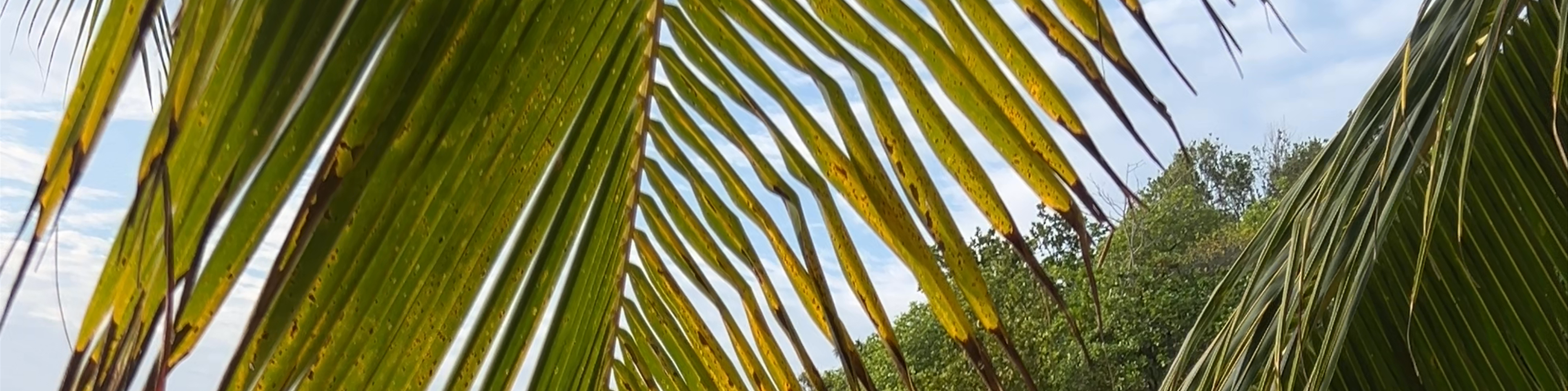 Seychelles