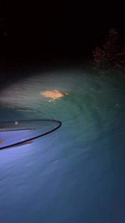 Night Kayak - How cool is that! - Rafting/Kayaking Near Me - St. Thomas, Virgin Islands