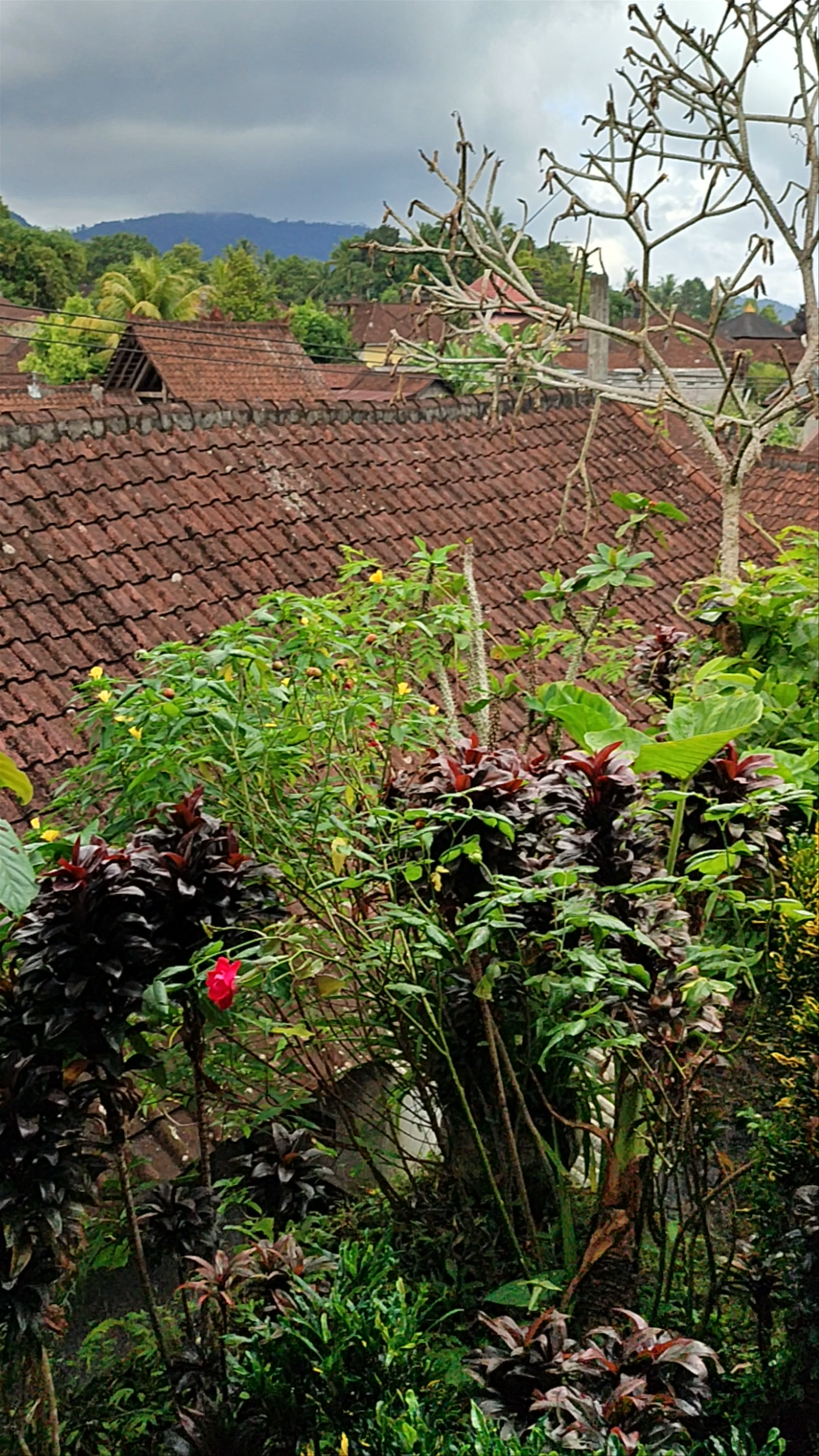 Jana’s HomeStay