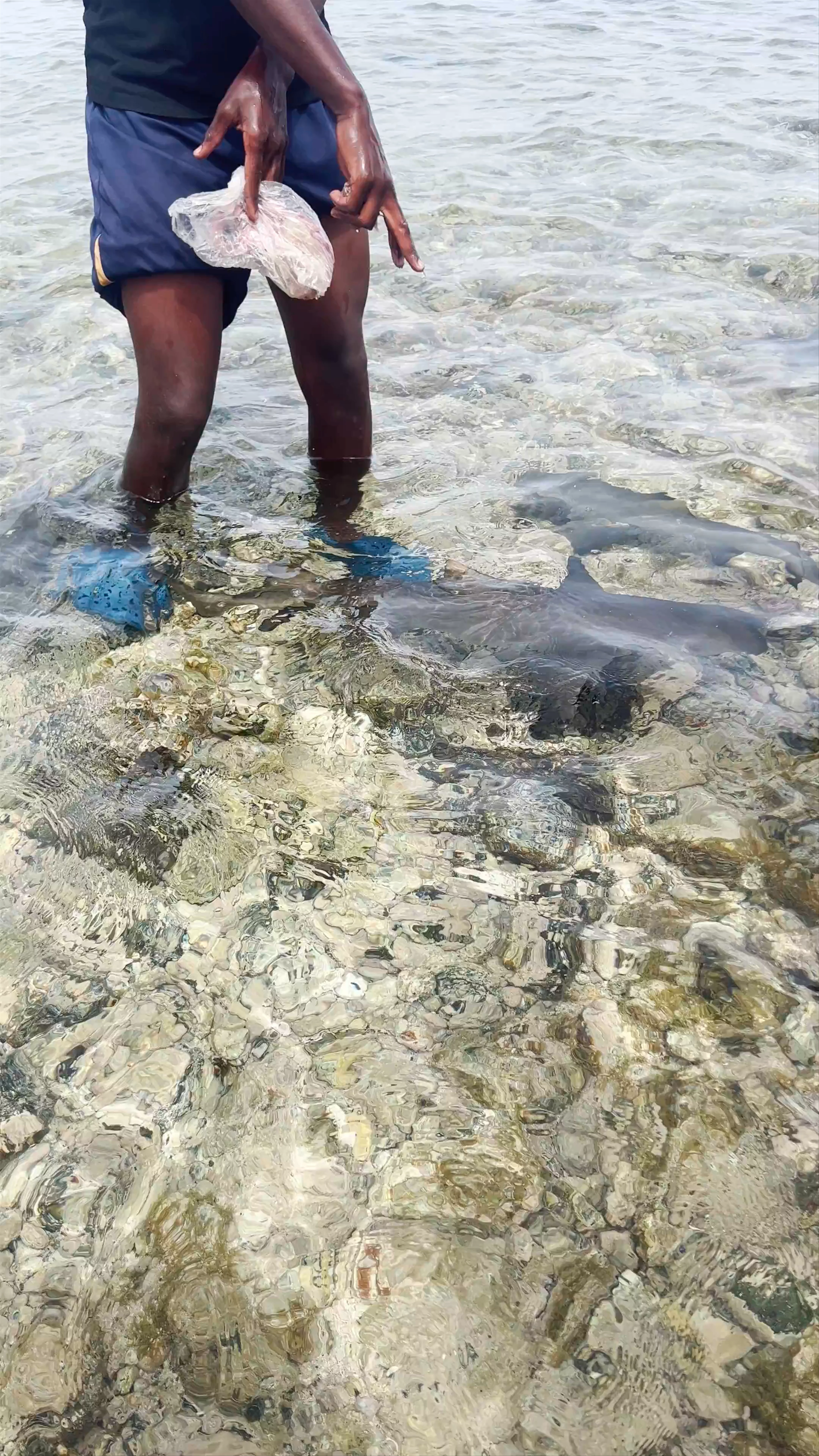 Shark Bay