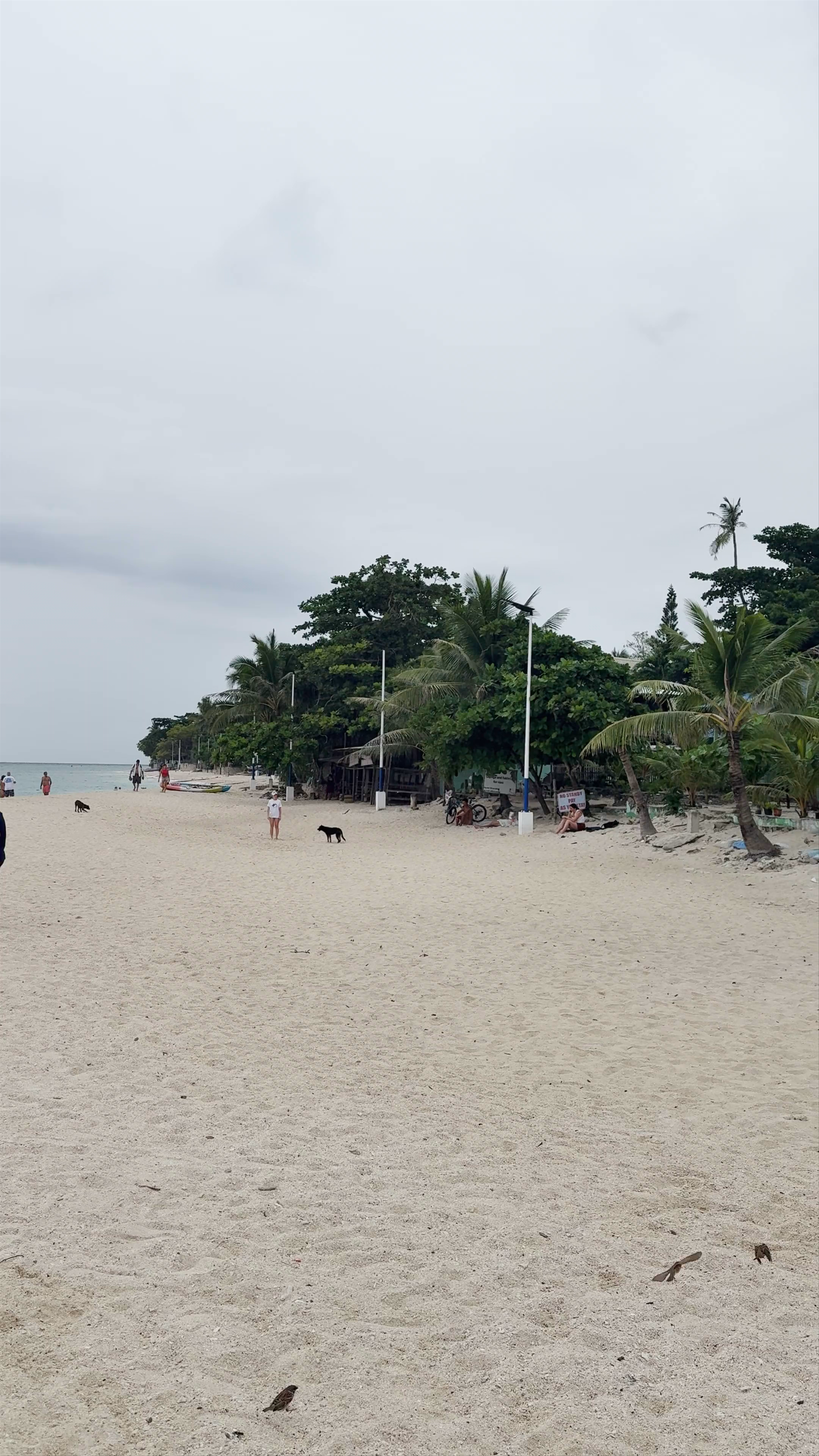 White Beach Moalboal