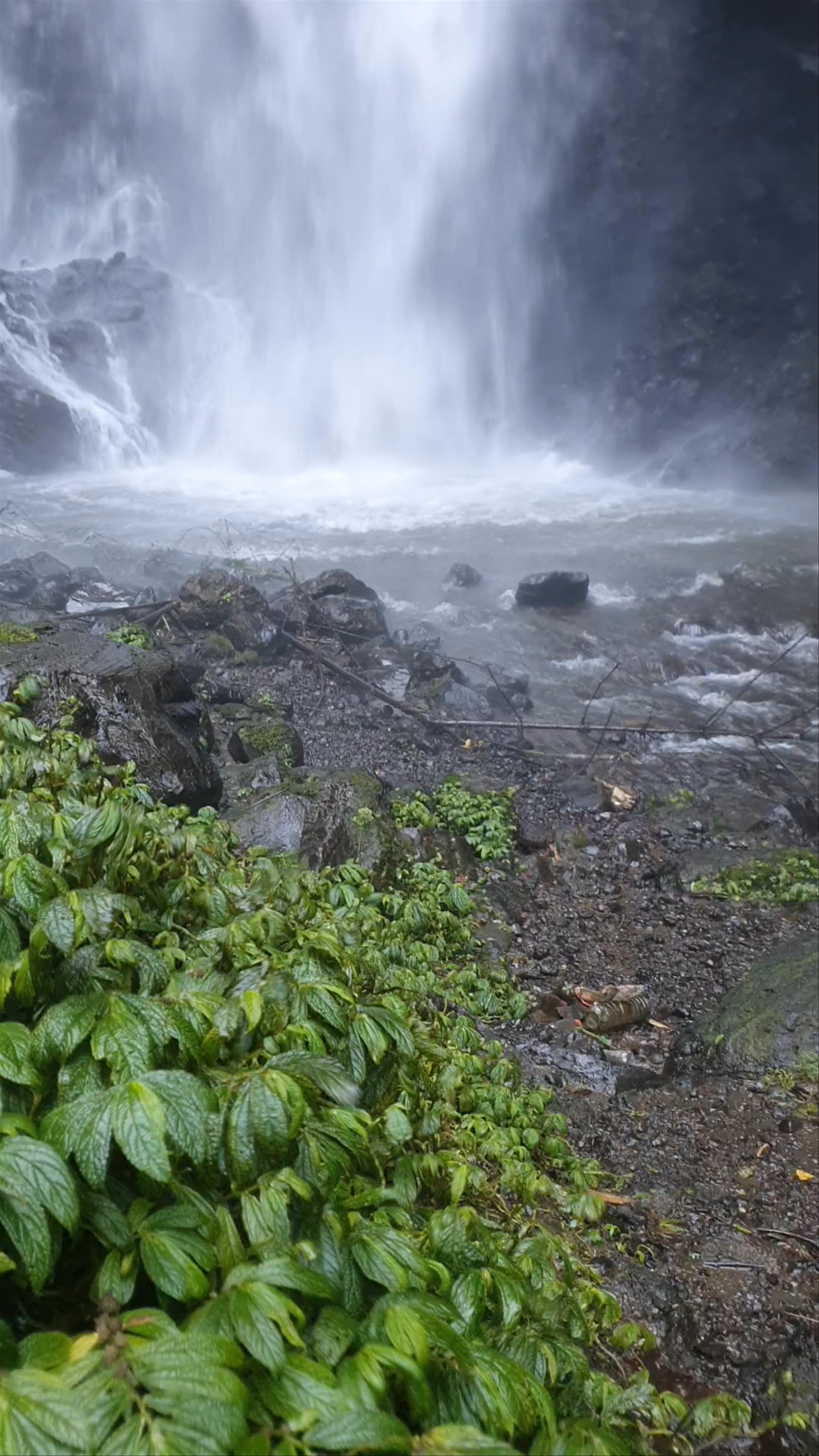 Cascade de Melanting Waterfall: Nature's Hidden Gem in Bali
