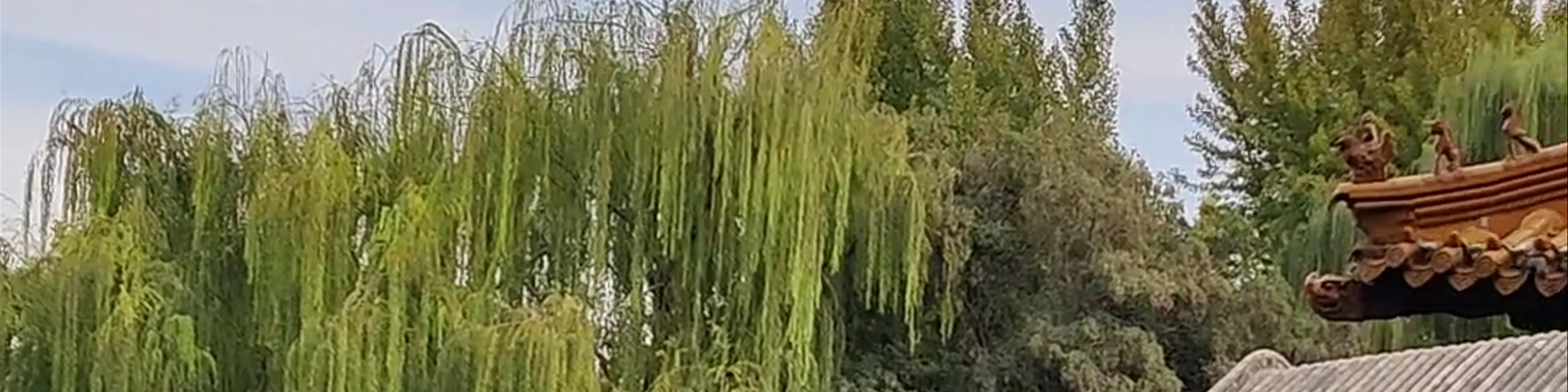 Baotu Spring