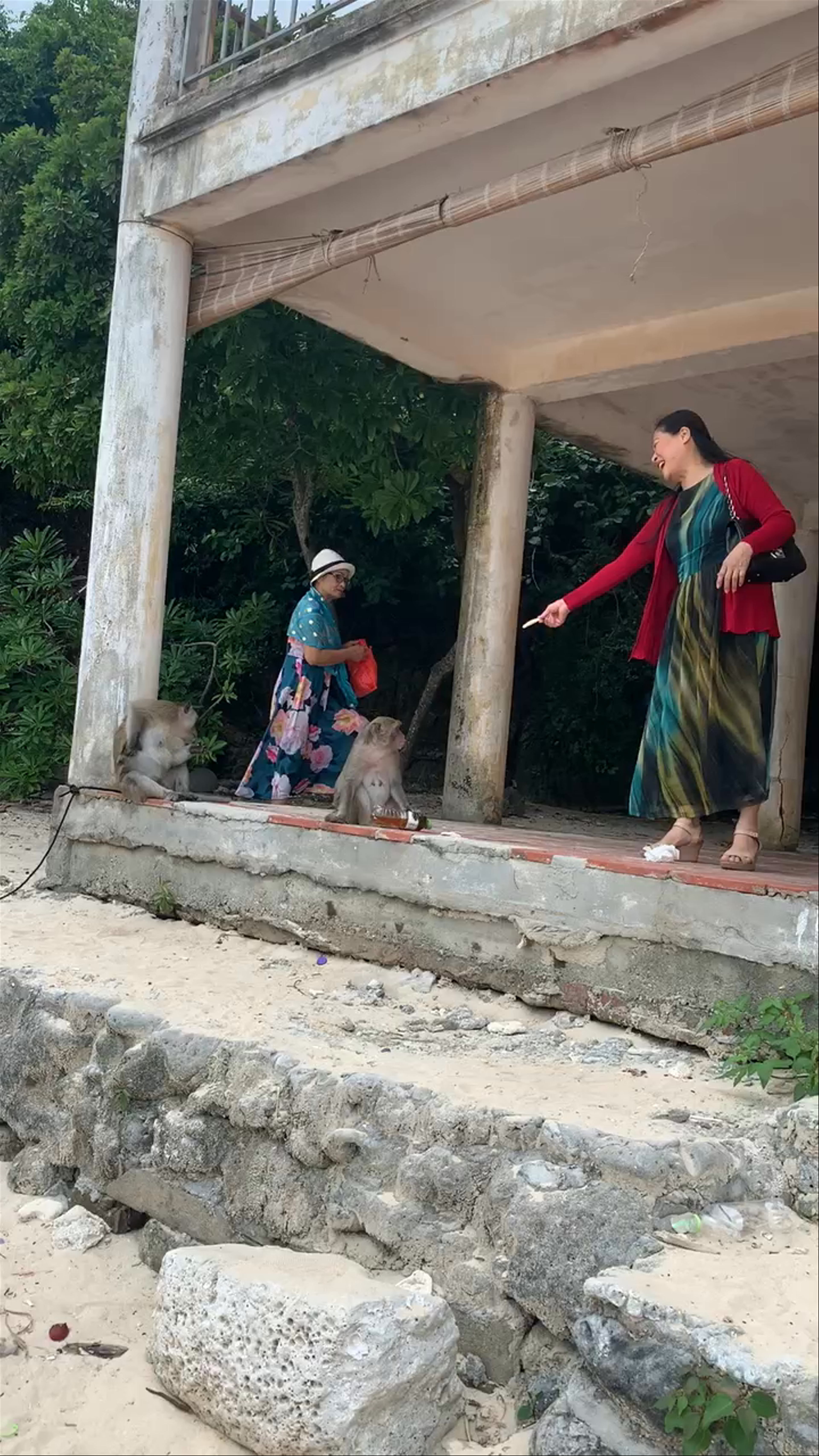 Enchanting Encounters at Monkey Island Beach, Cat Ba, Vietnam