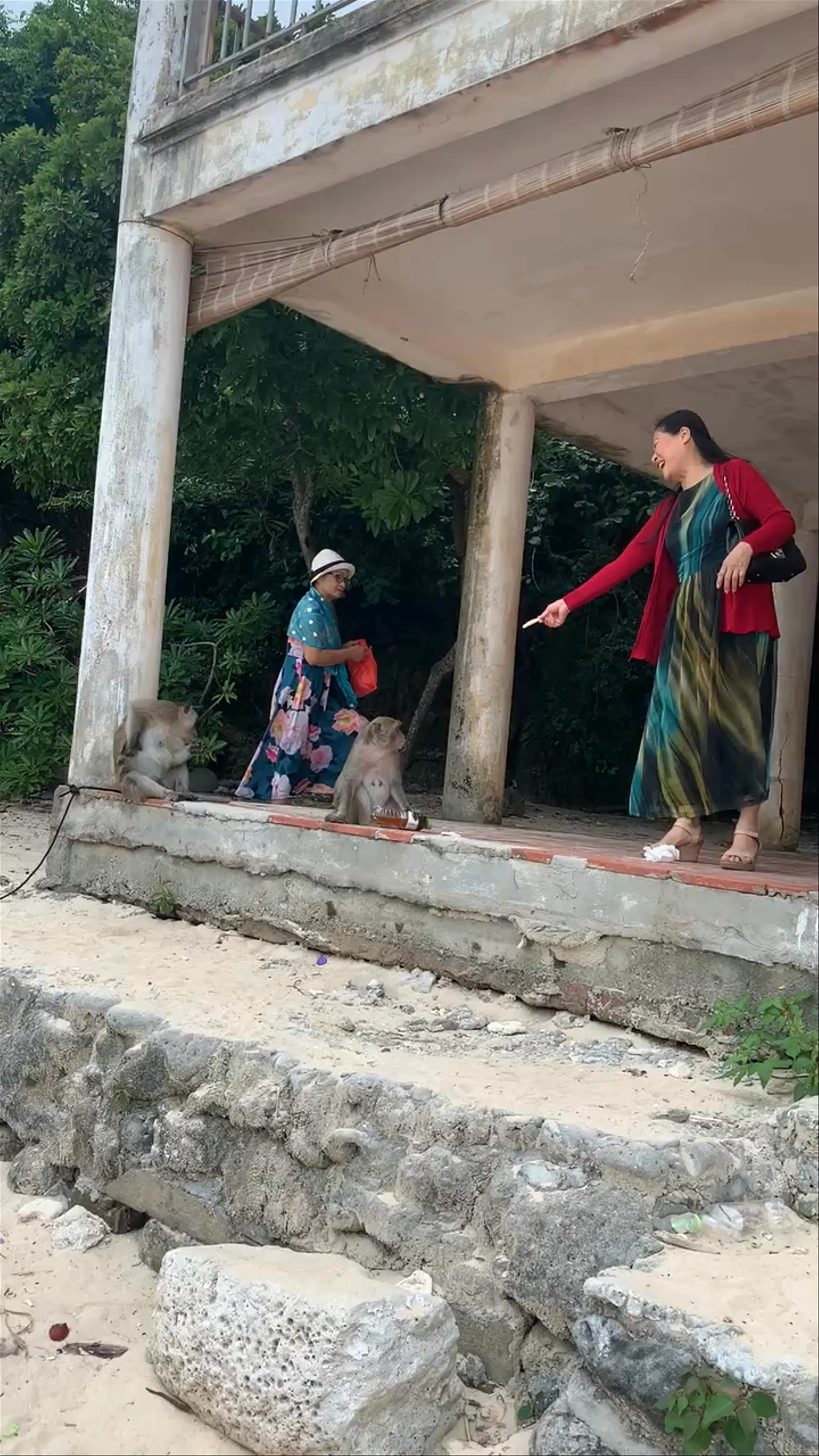 Monkey Island Beach