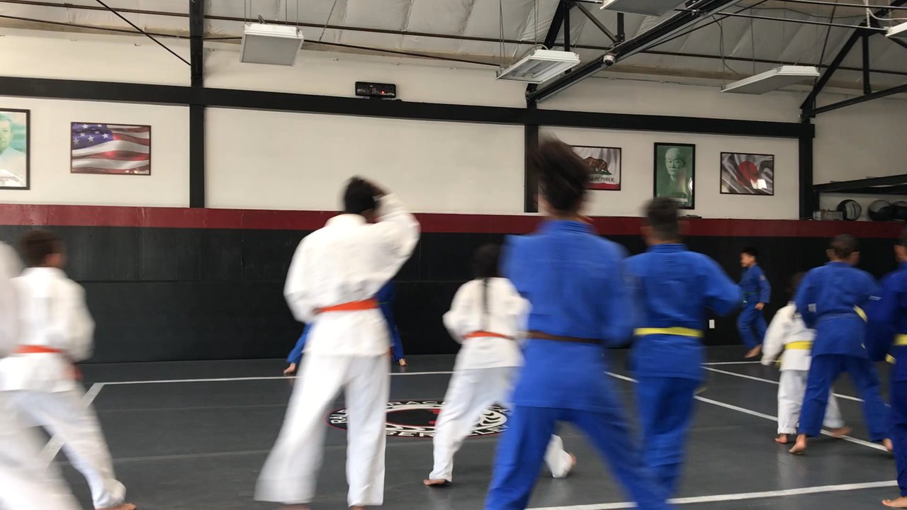 Ralph Gracie  Berkeley Jiu-Jitsu Academy - Mongolian Judo at Gracie Jiujitsu in Berkeley! - Brazilian Jiu-jitsu Near Me - Berkeley, California