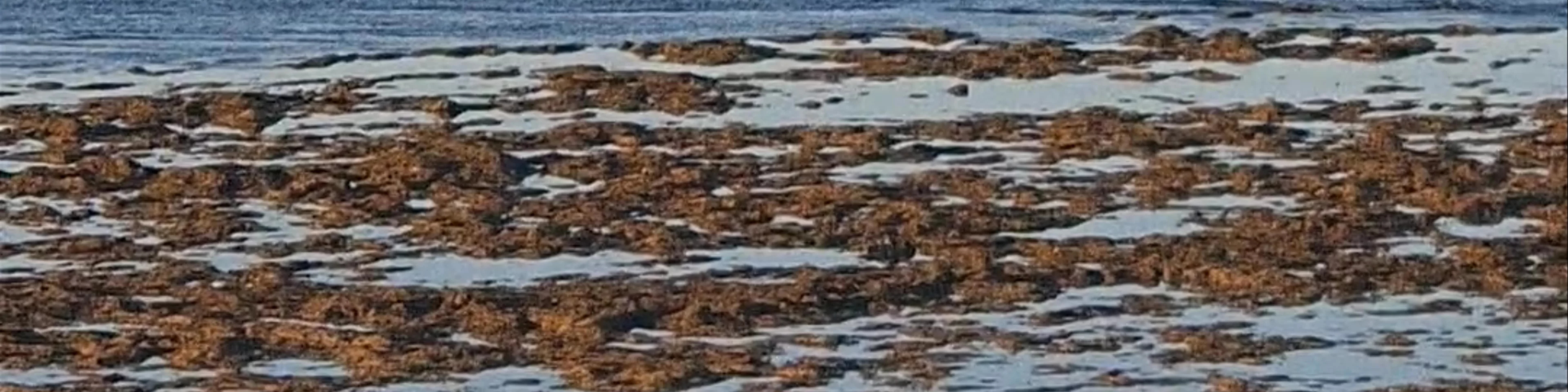 Mildura Wreck