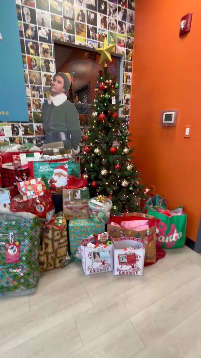 Dogtopia - Angel Tree Christmas 2024 - Pet Boarding Near Me - Easton, Pennsylvania