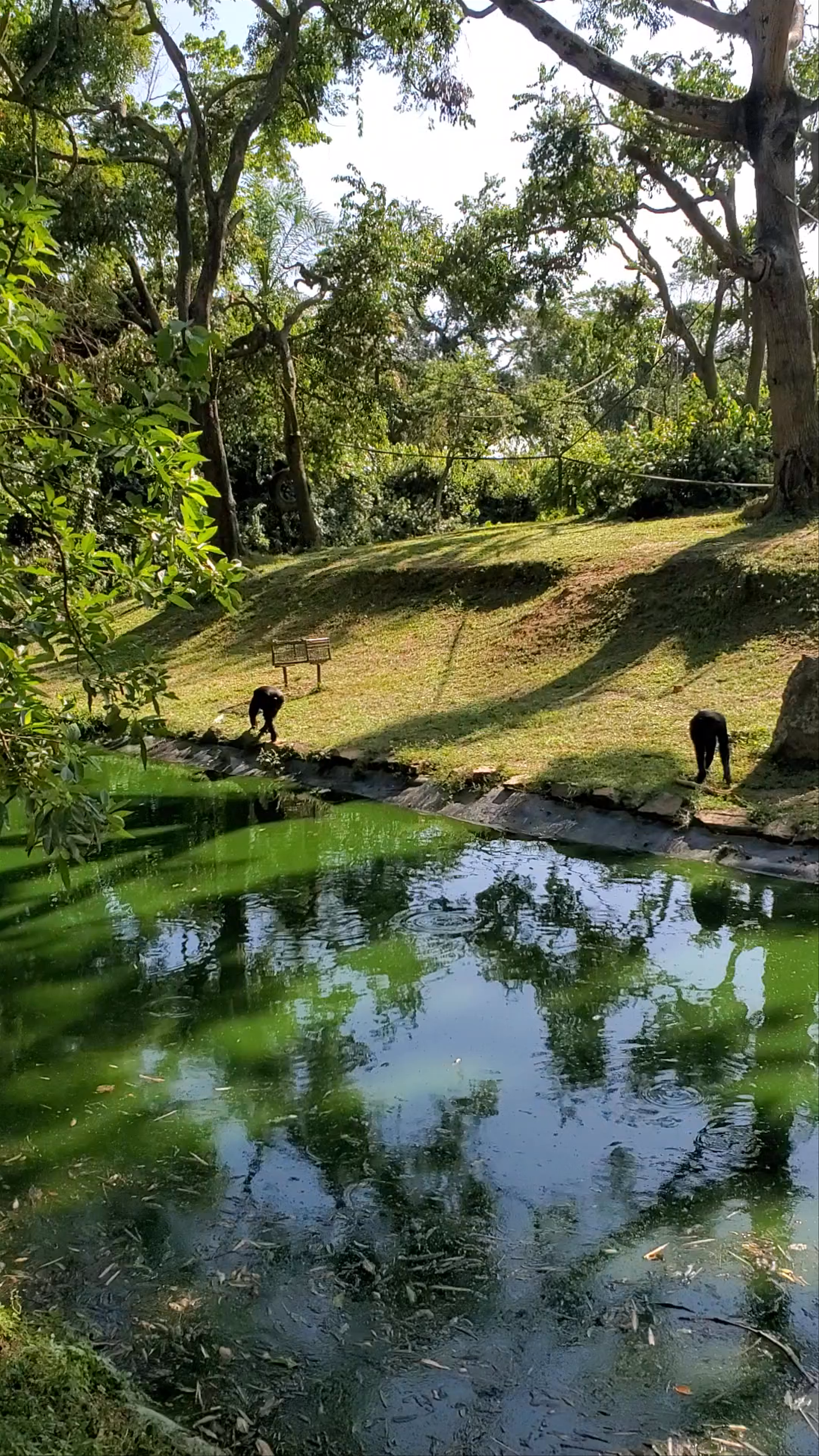 Kibale National Park