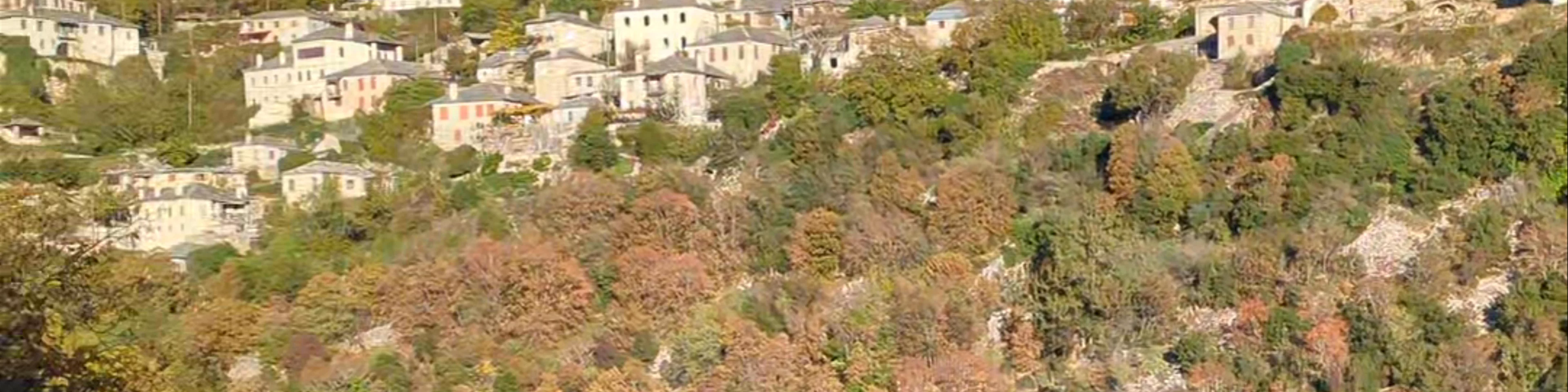 Κεντρική Πλατεία Βίτσας