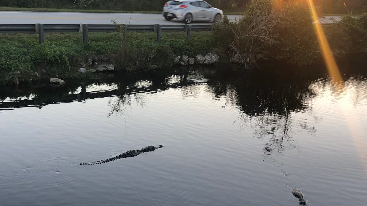 Big Cypress Oasis Visitor Center - Visitor Centers Near Me - Ochopee, Florida