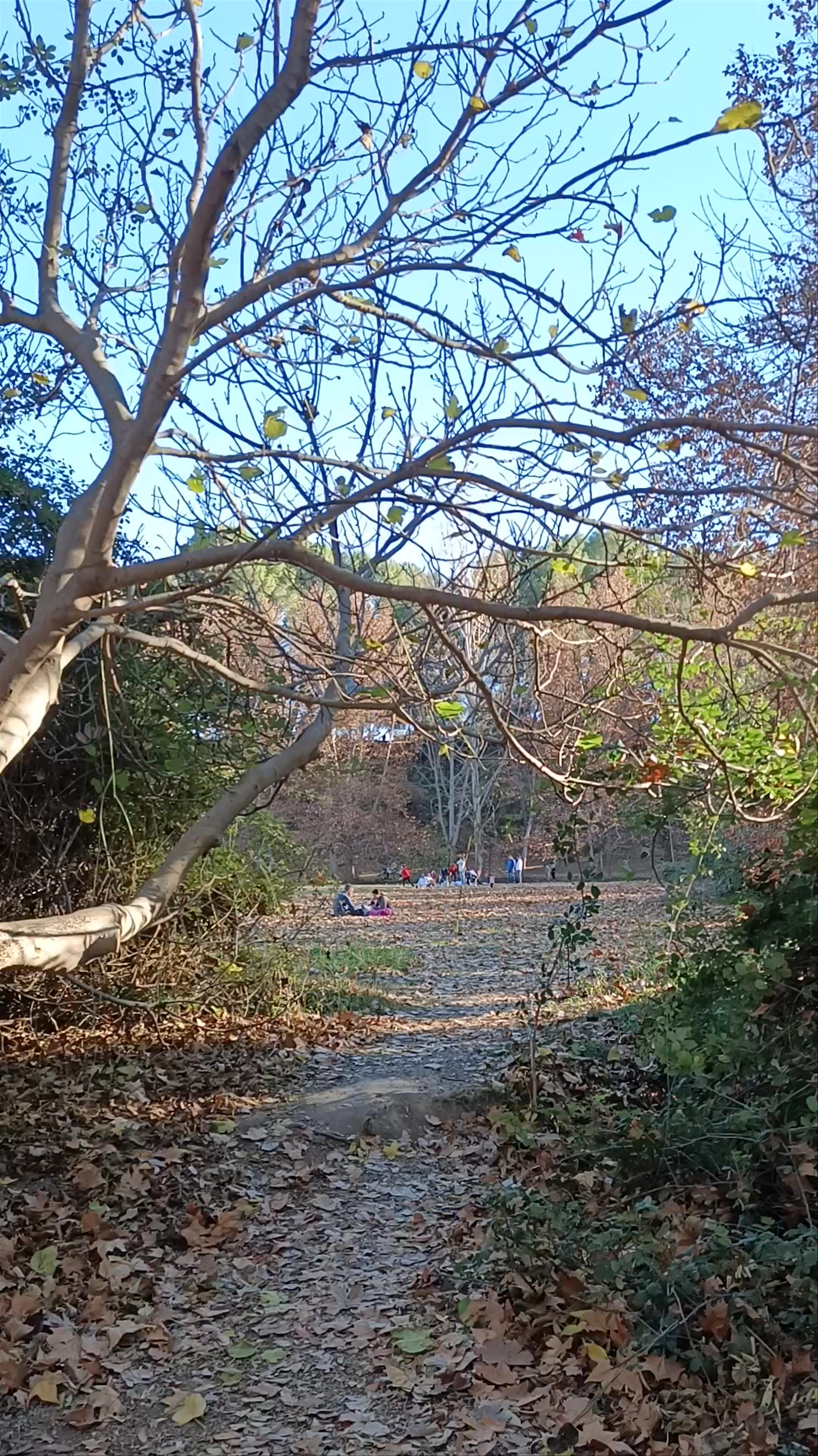 Autumn Serenity at Fuentes del Marqués in Región de Murcia, Spain